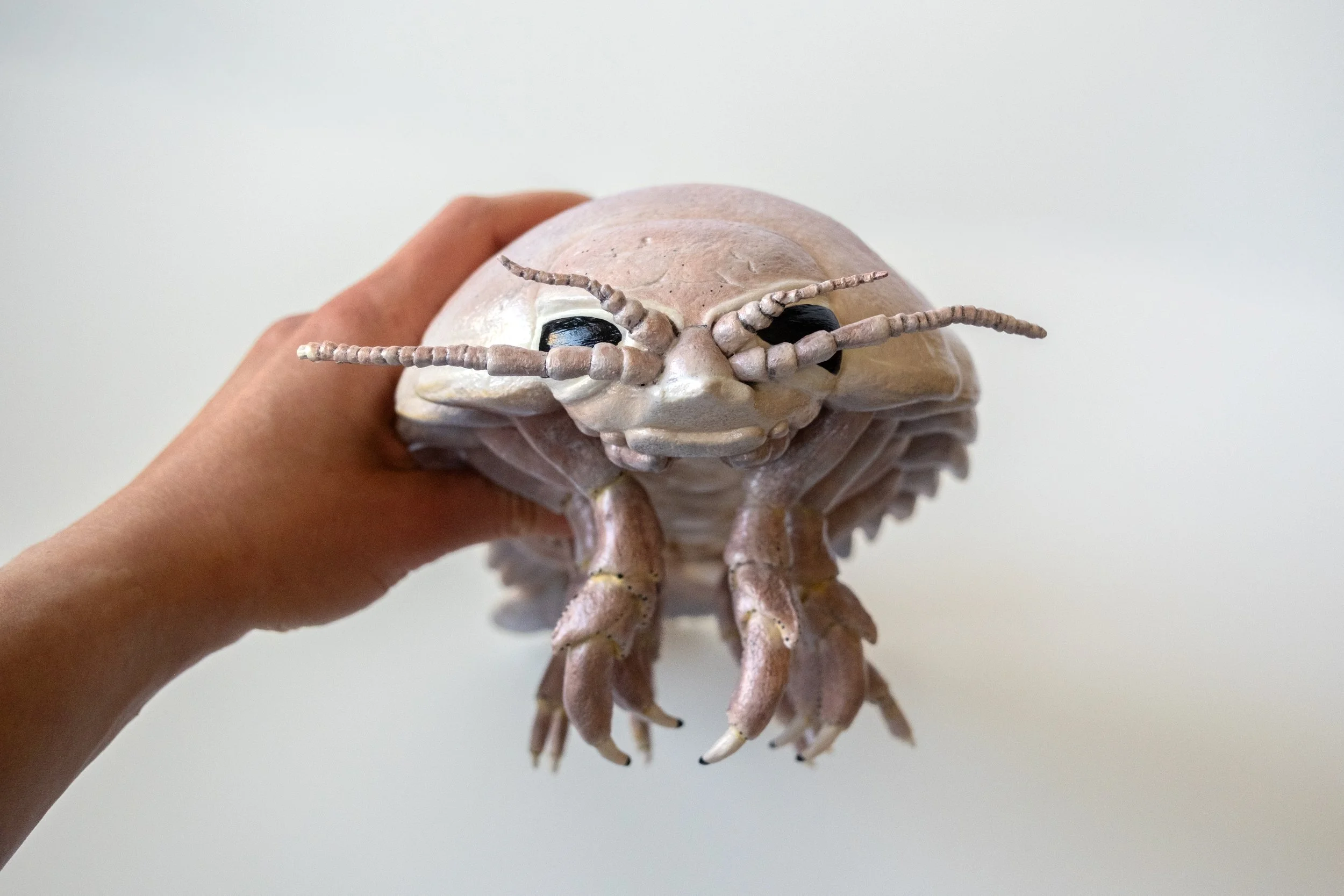 Giant Isopod Deep-sea