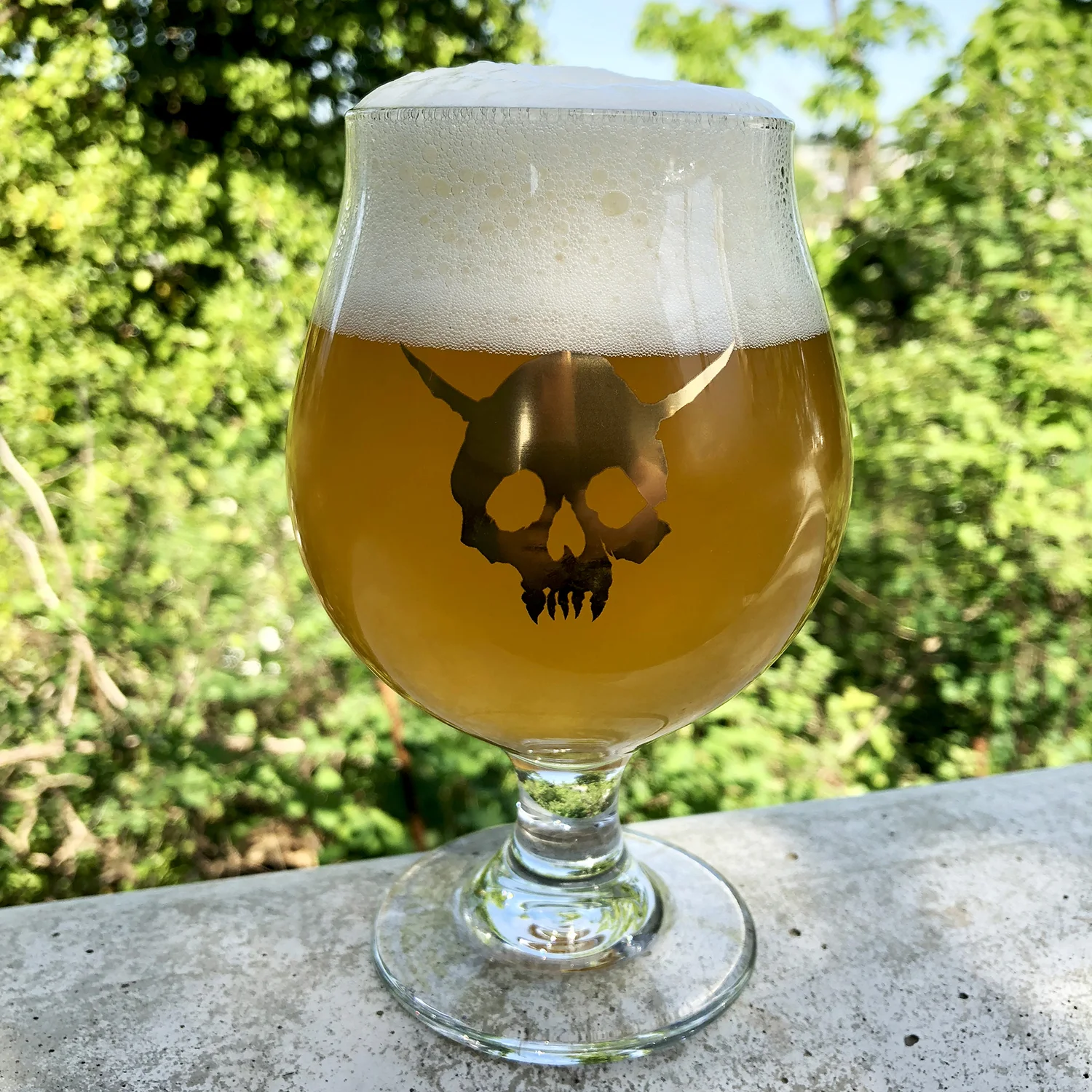 Skull Glass - Gold (set of 2)