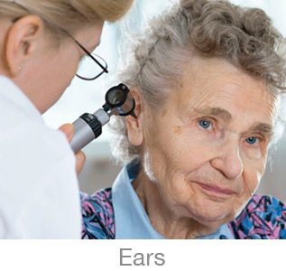 ent ears checkup senior