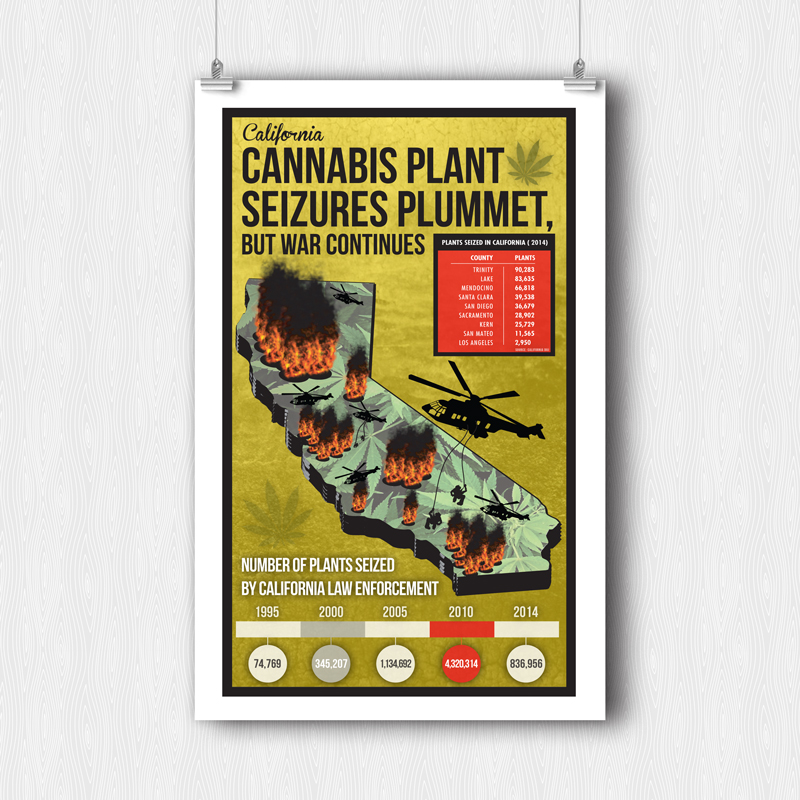 Cannabis Plant Seizures Plummet