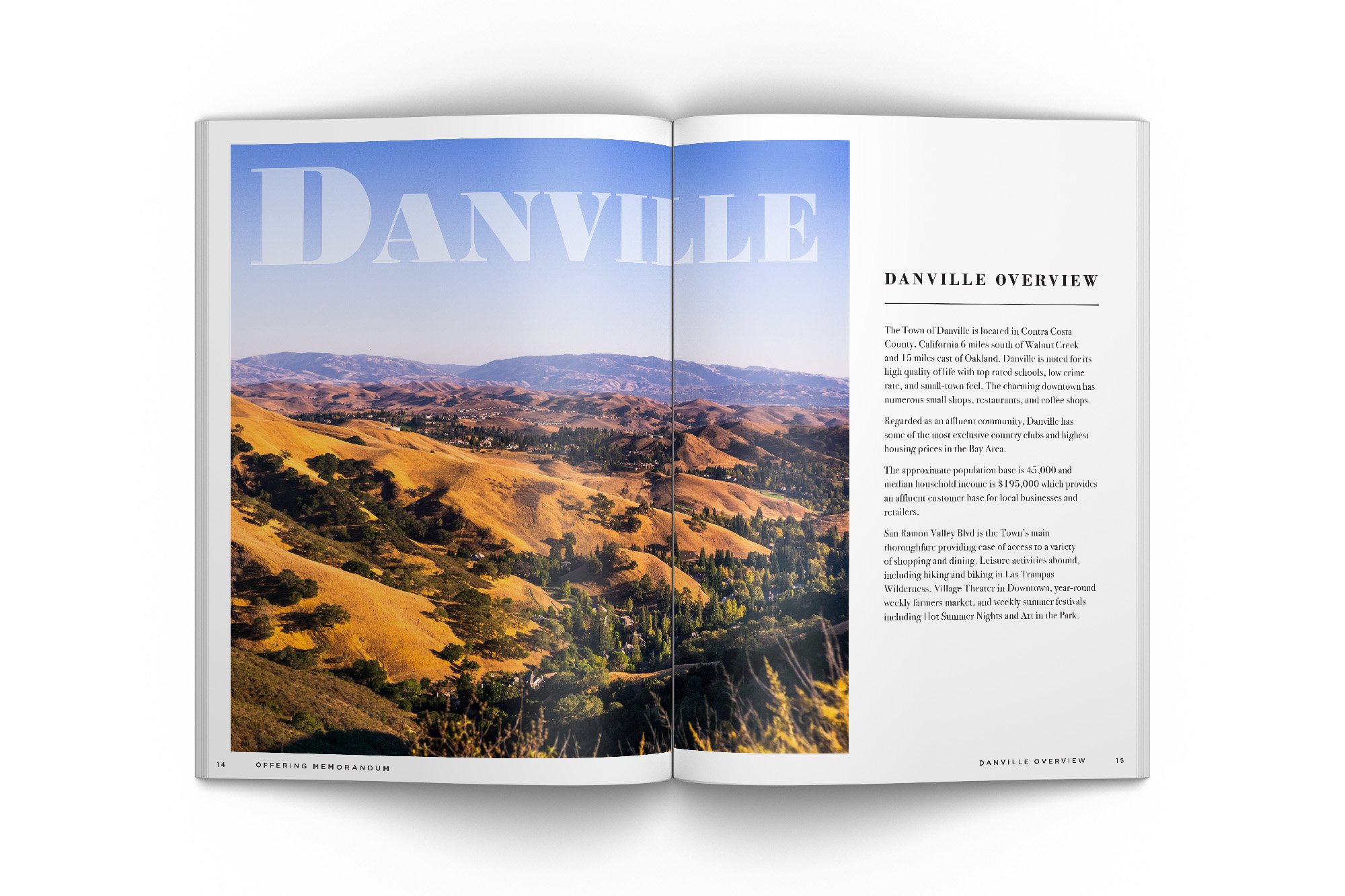 danville overview.jpg
