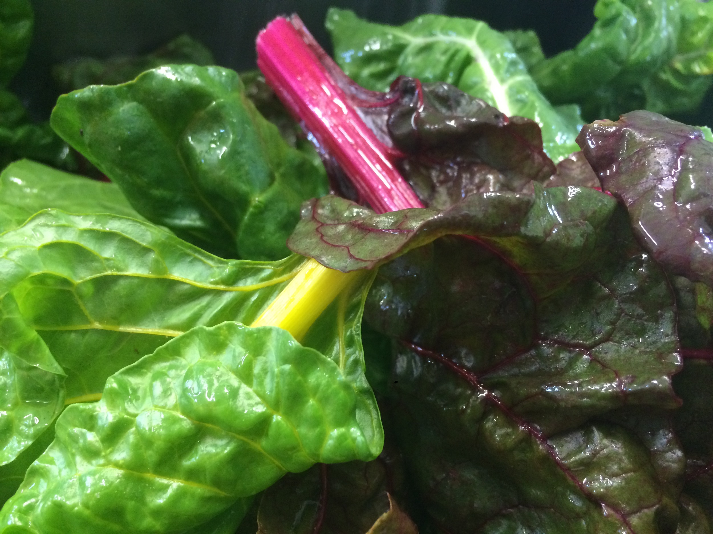  Swiss Chard 