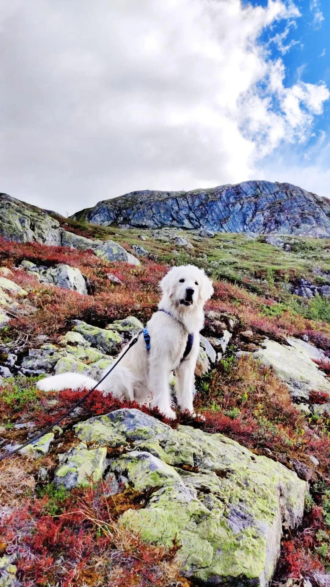 IMG_20220822_185321_416.jpg