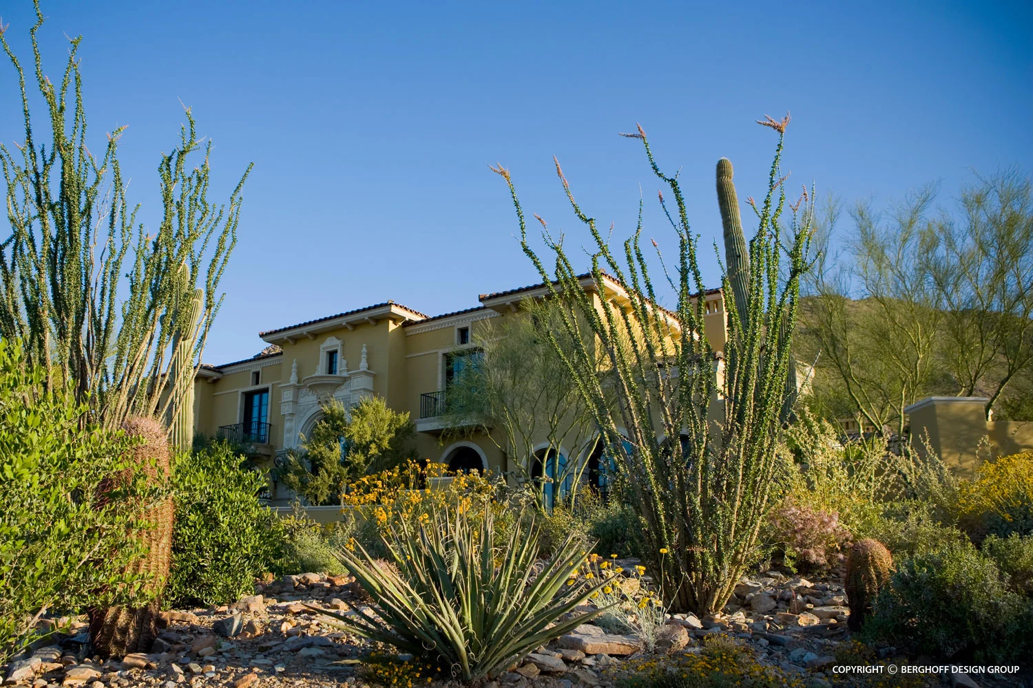 silverleaf-mediterranean-home-landscape-architecture-phoenix-G4-img01.jpg