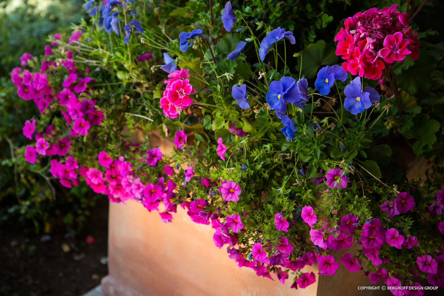 santa-barbara-home-landscape-architecture-phoenix-G9-img11.jpg