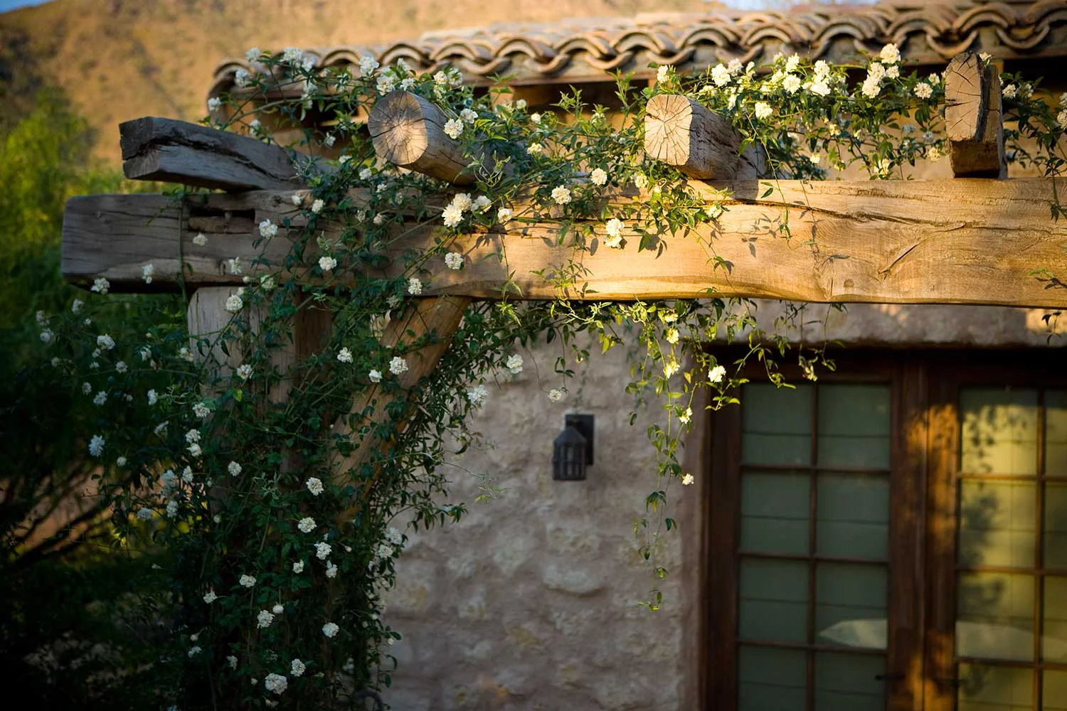 landscaping-ideas-home-landscape-architecture-phoenix-house-img05.jpg