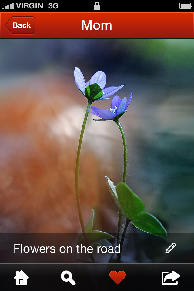 vertical photostream with metadata.png