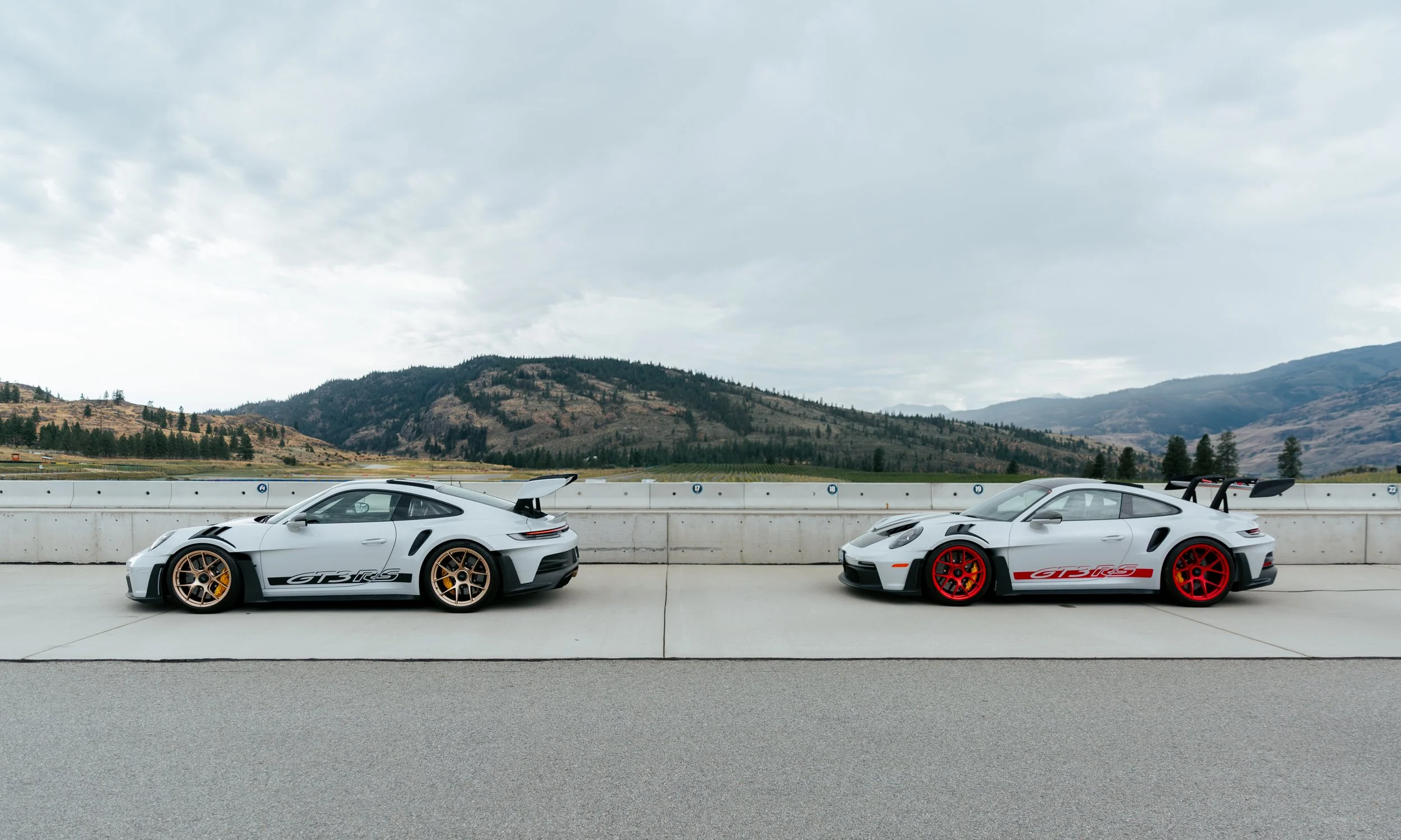 Two white Porsche sports cars with racing decals parked on a race track. The car on the left has gold wheels, and the car on the right has red wheels. Mountain scenery is visible in the background under an overcast sky.
