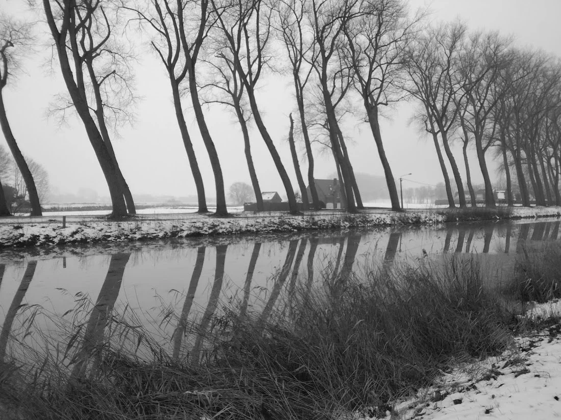 damse vaart.jpg