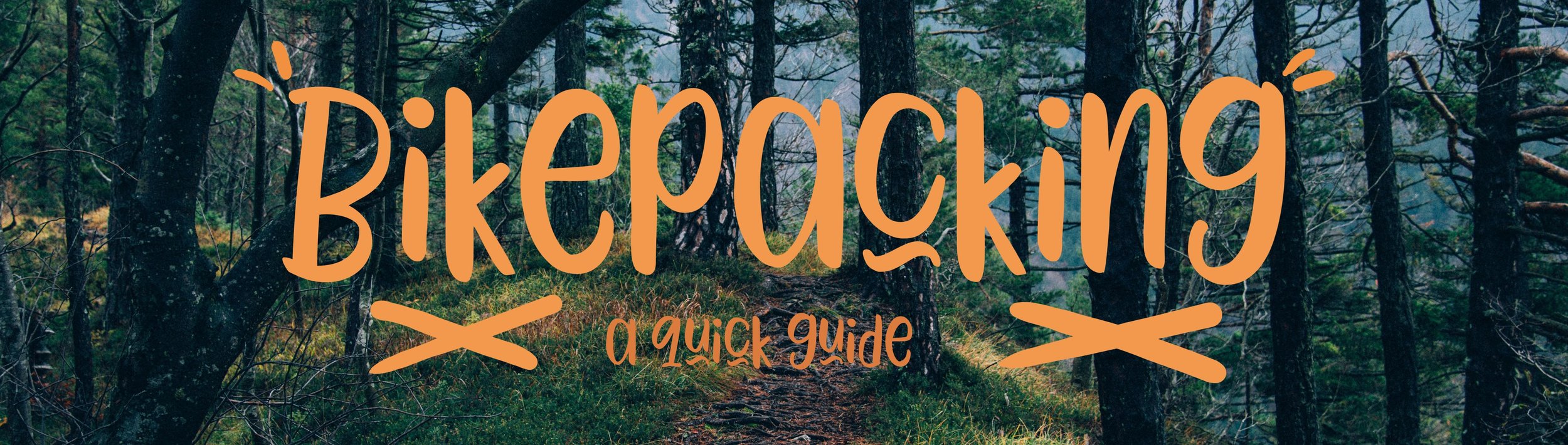 Photo by Ales Krivec&nbsp;on Unsplash