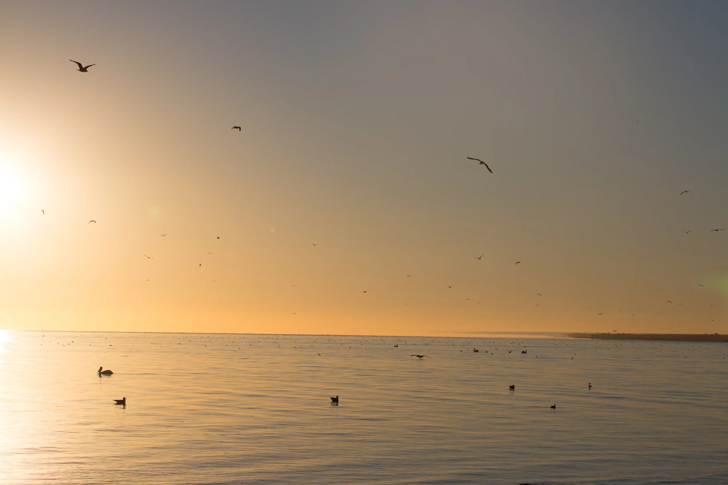 20141127_Salton_Sea_California_0012.jpg