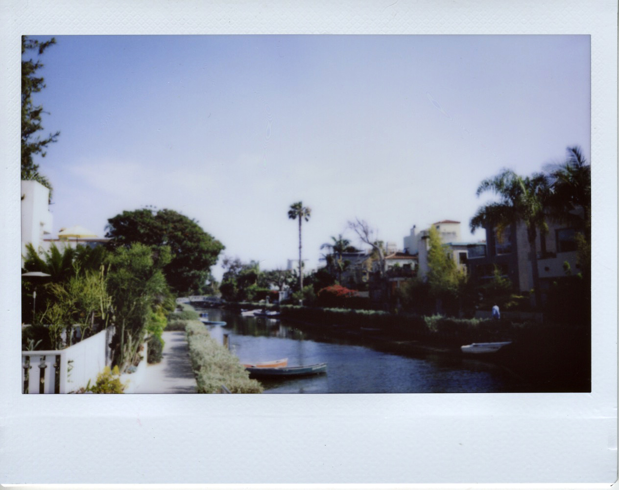 POLAROIDS 9.jpeg