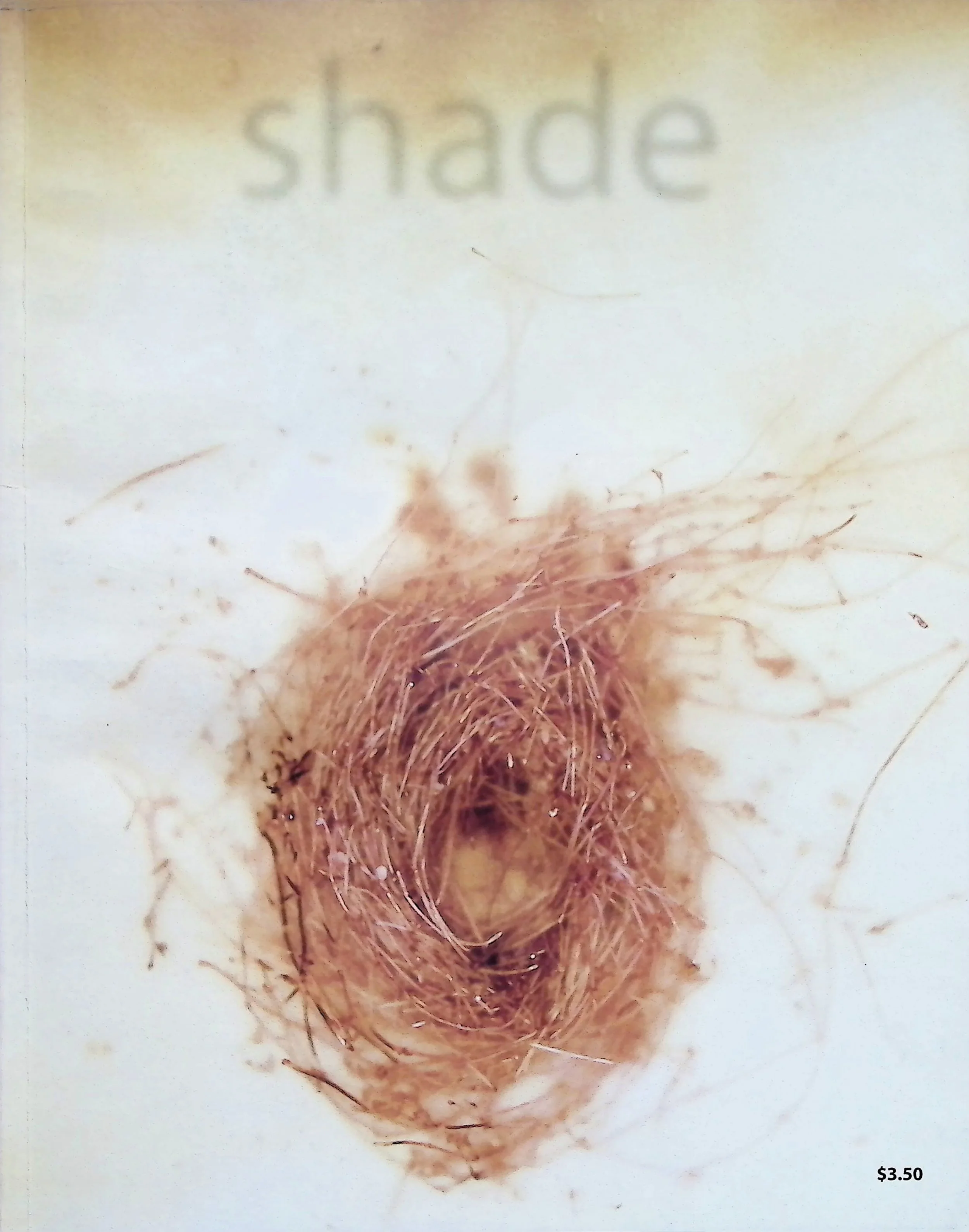 Issue 2 - June 2002