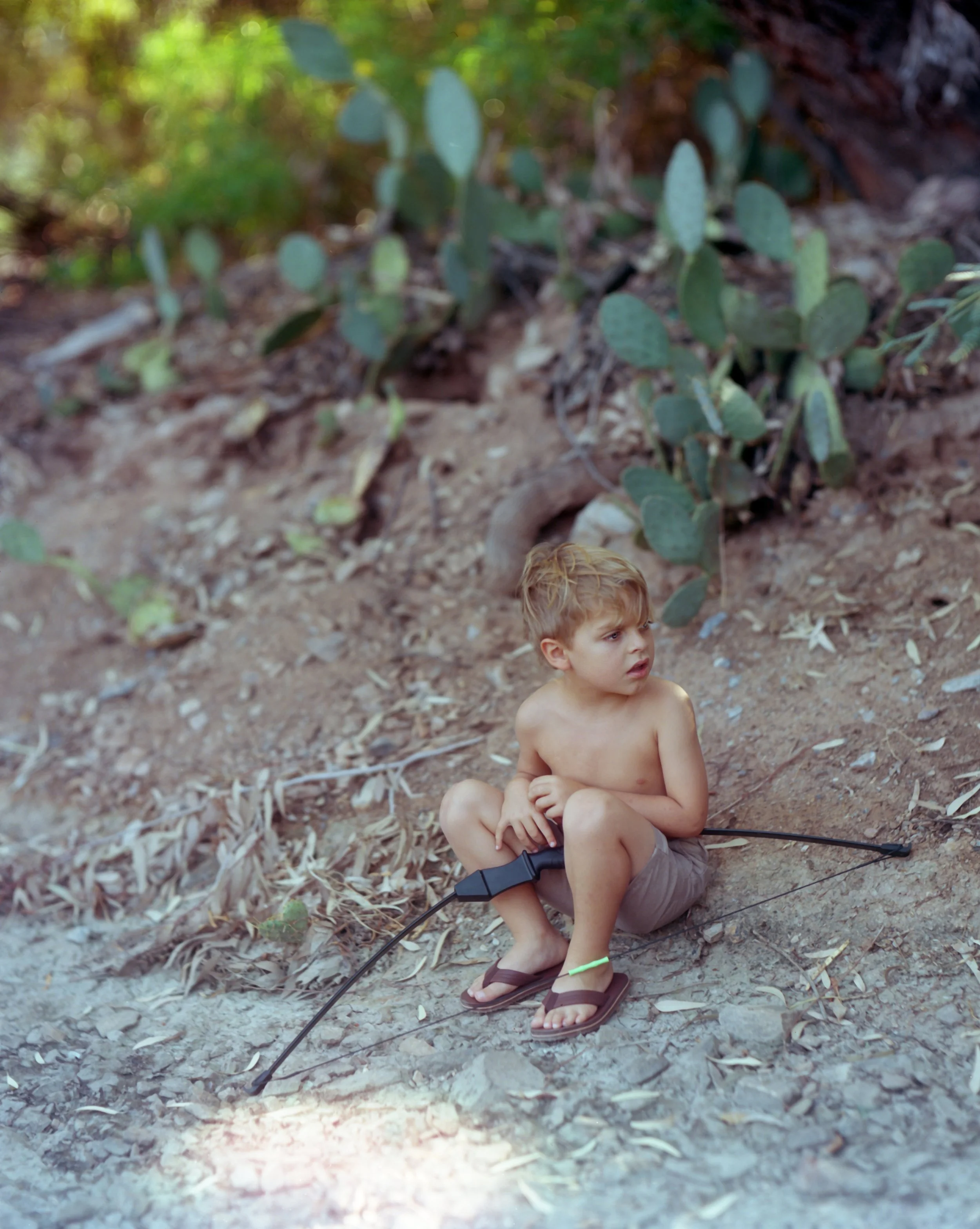 Young Apollo