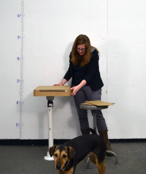 Me and my dog Missy.&nbsp;