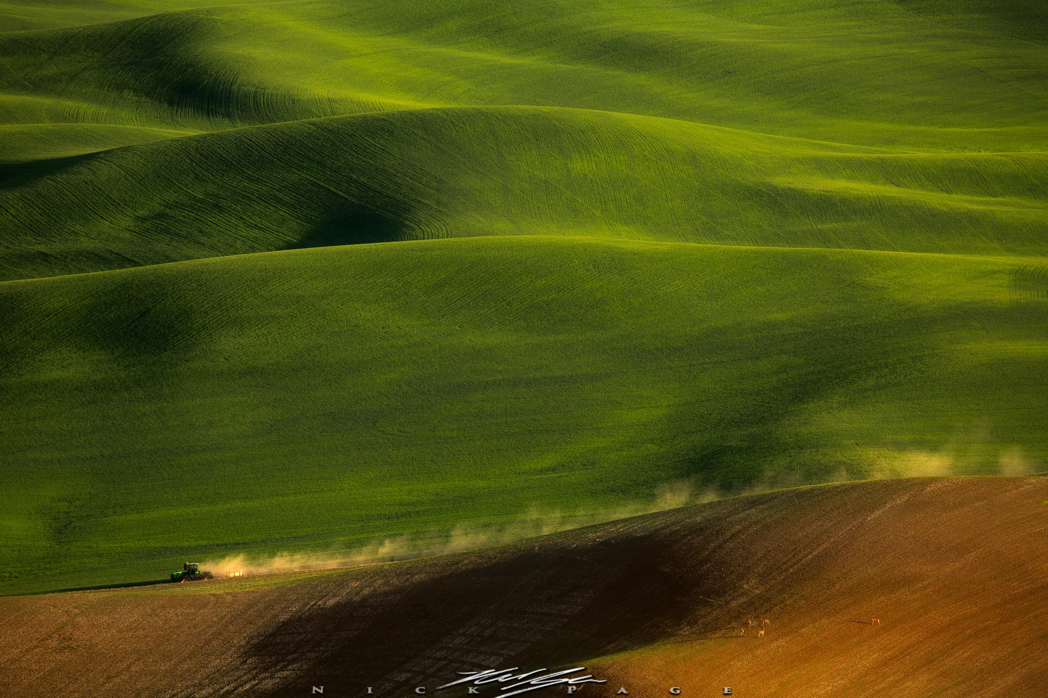 _D_39254-Edit.jpg