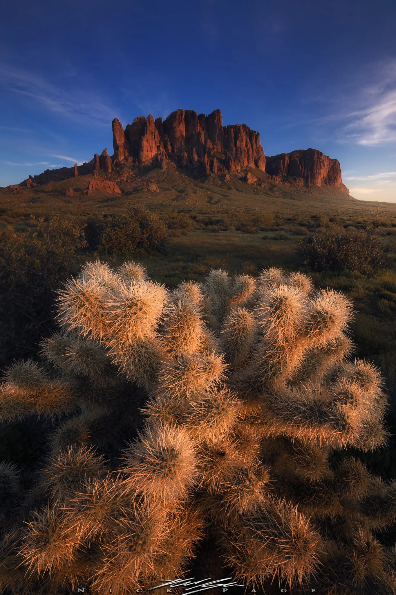 HM5A7562-Edit.jpg