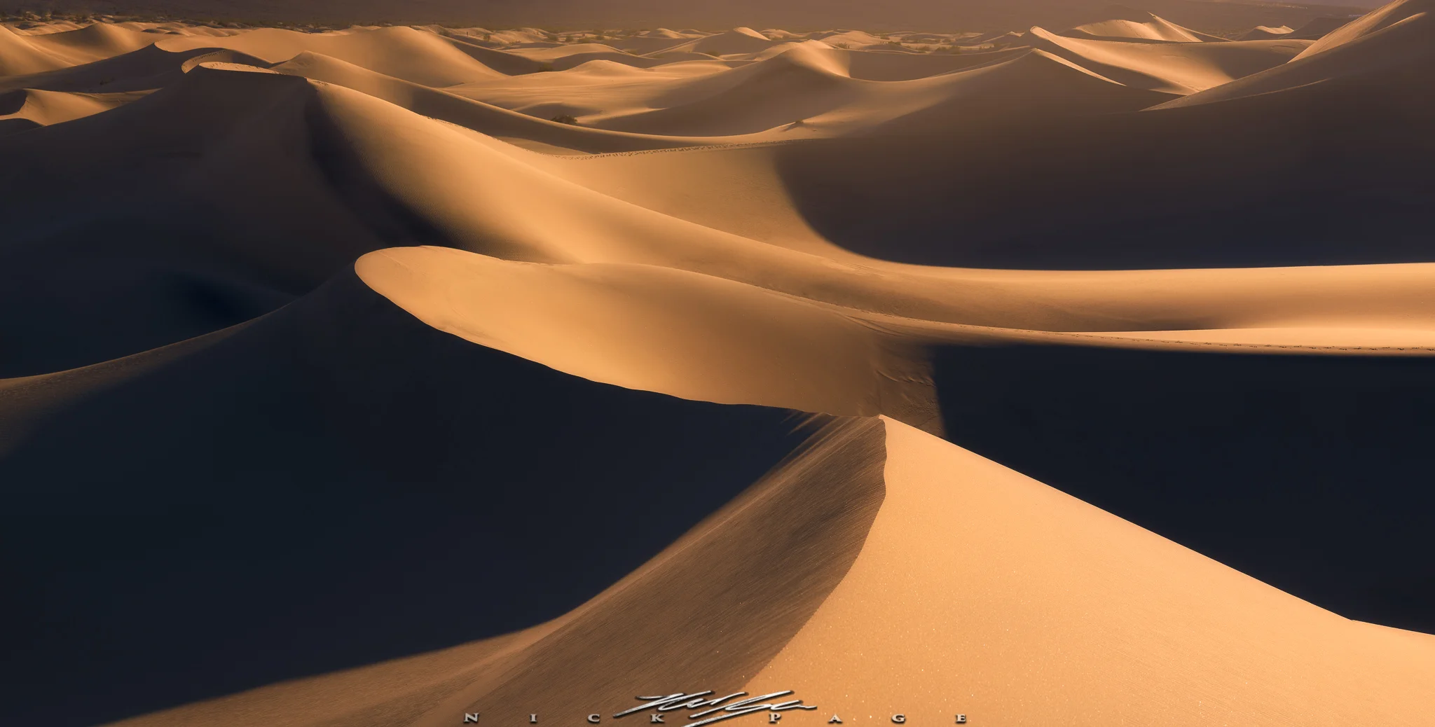 dunes.jpg