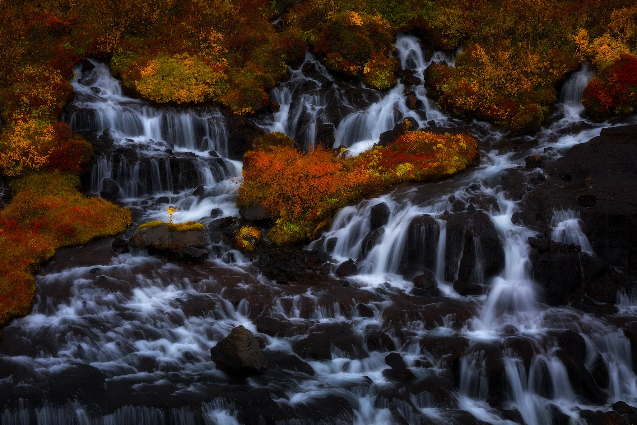 Fall-Colors.jpg