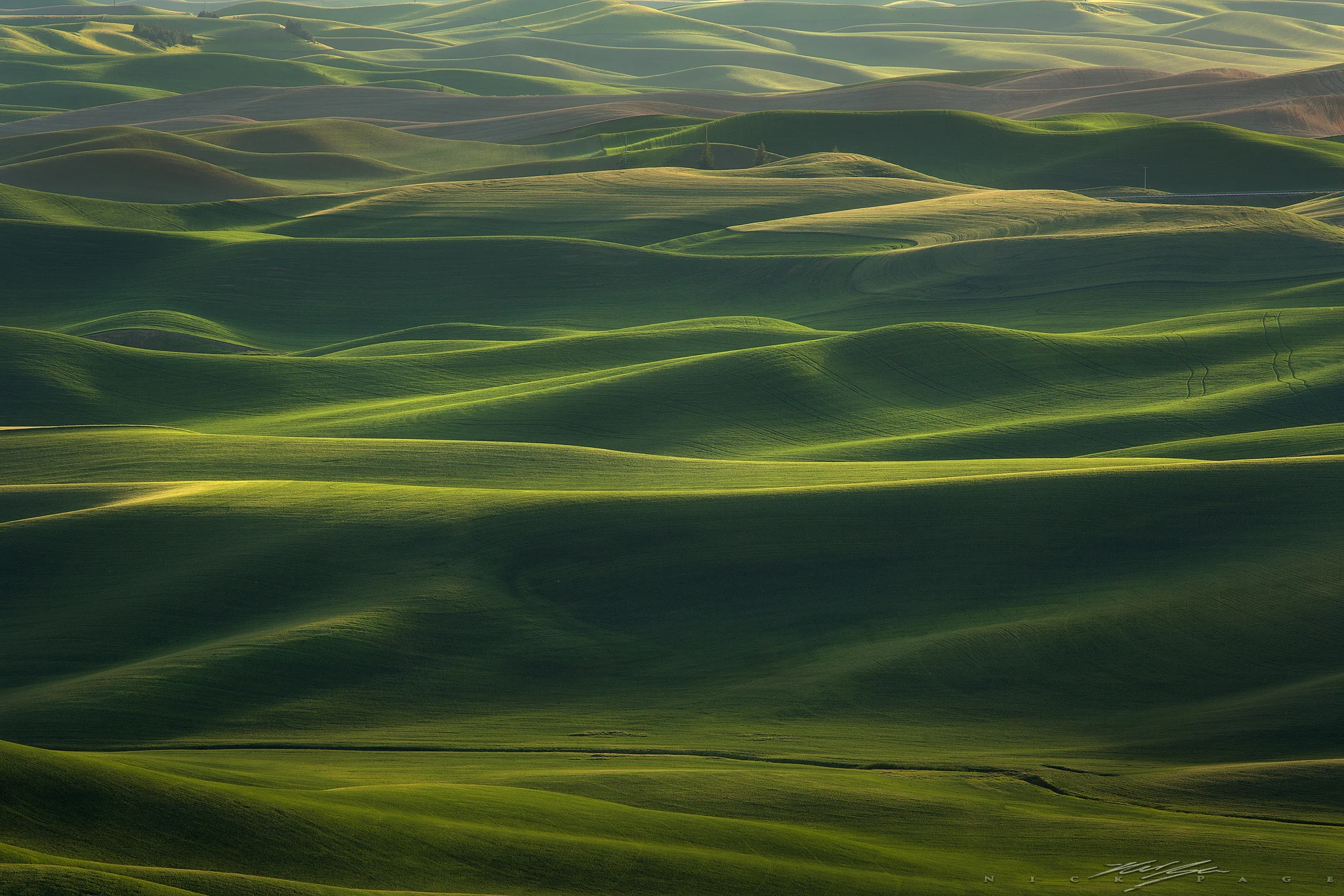 untouched-hills.jpg