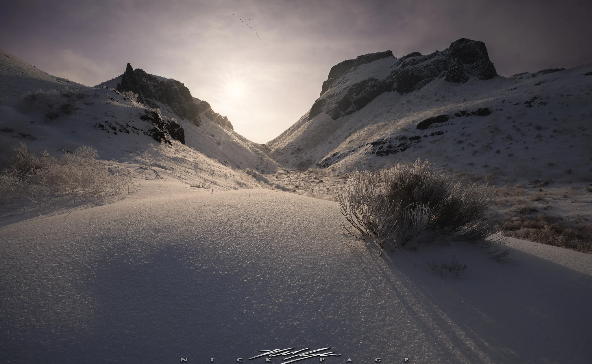HM5A6368-Edit.jpg
