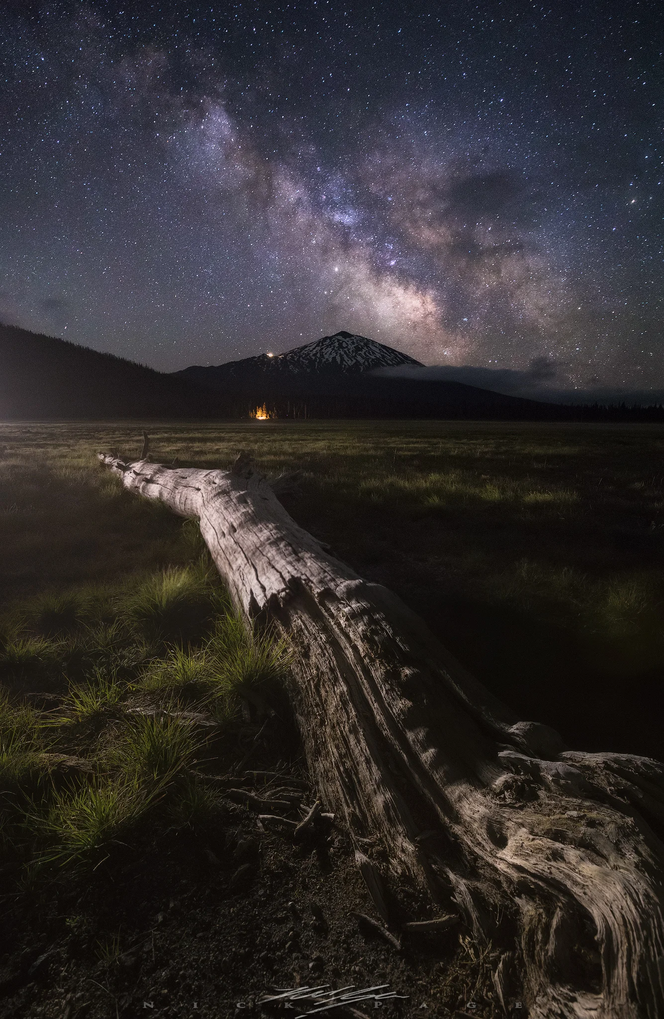 batchlor-stars-vertical.jpg