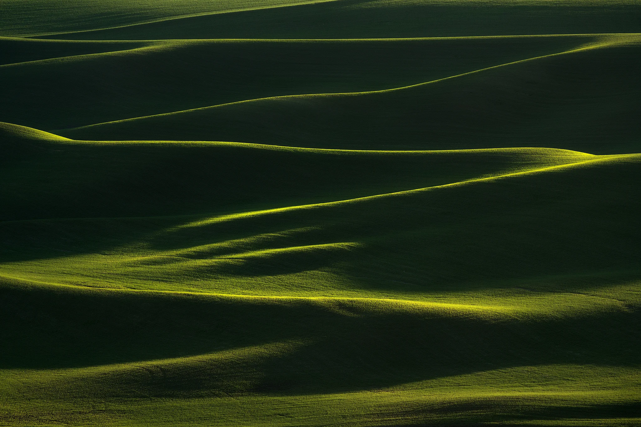 palouse-Zig-Zag.jpg