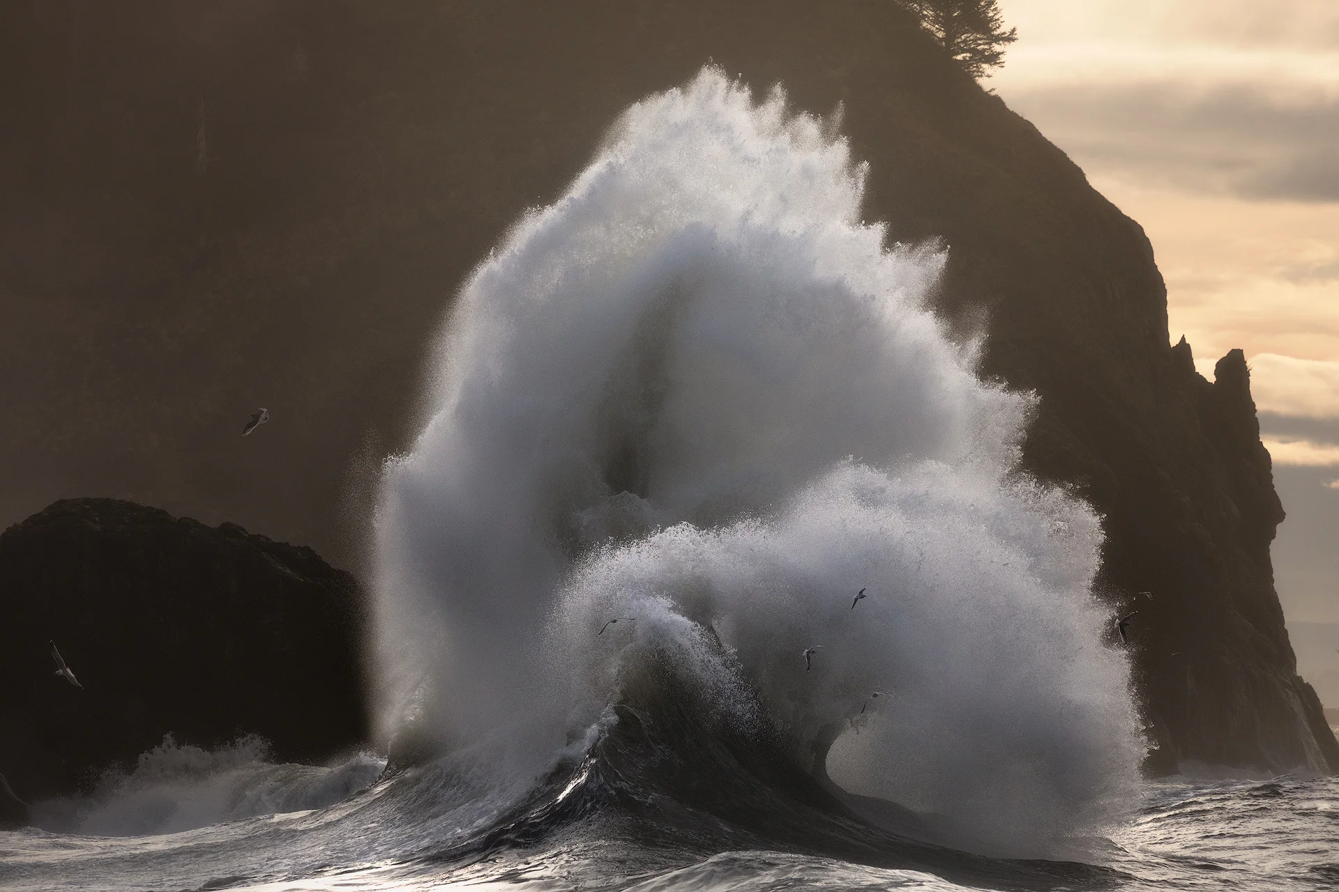 Eruption