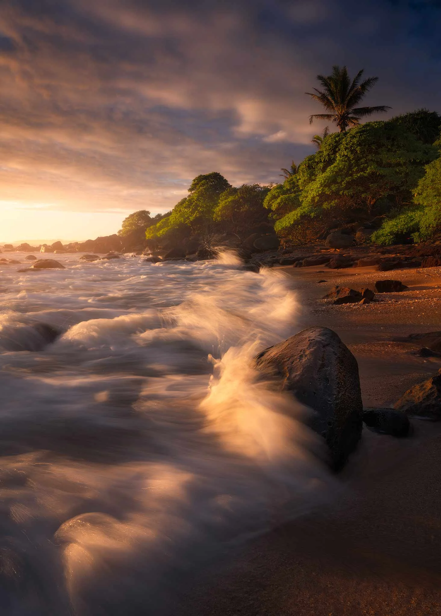 moring-at-the-cove.jpg