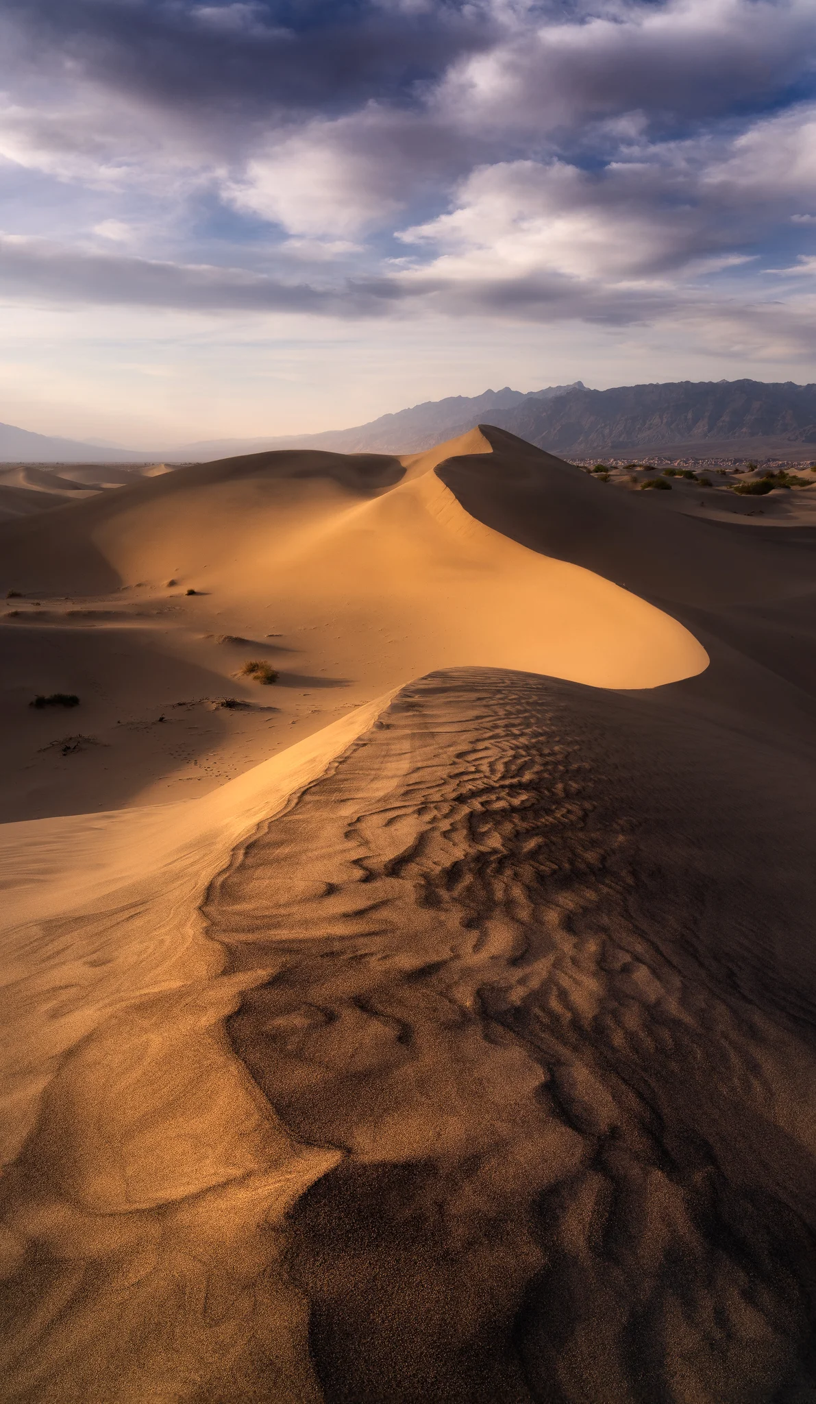dune-s-curve.jpg