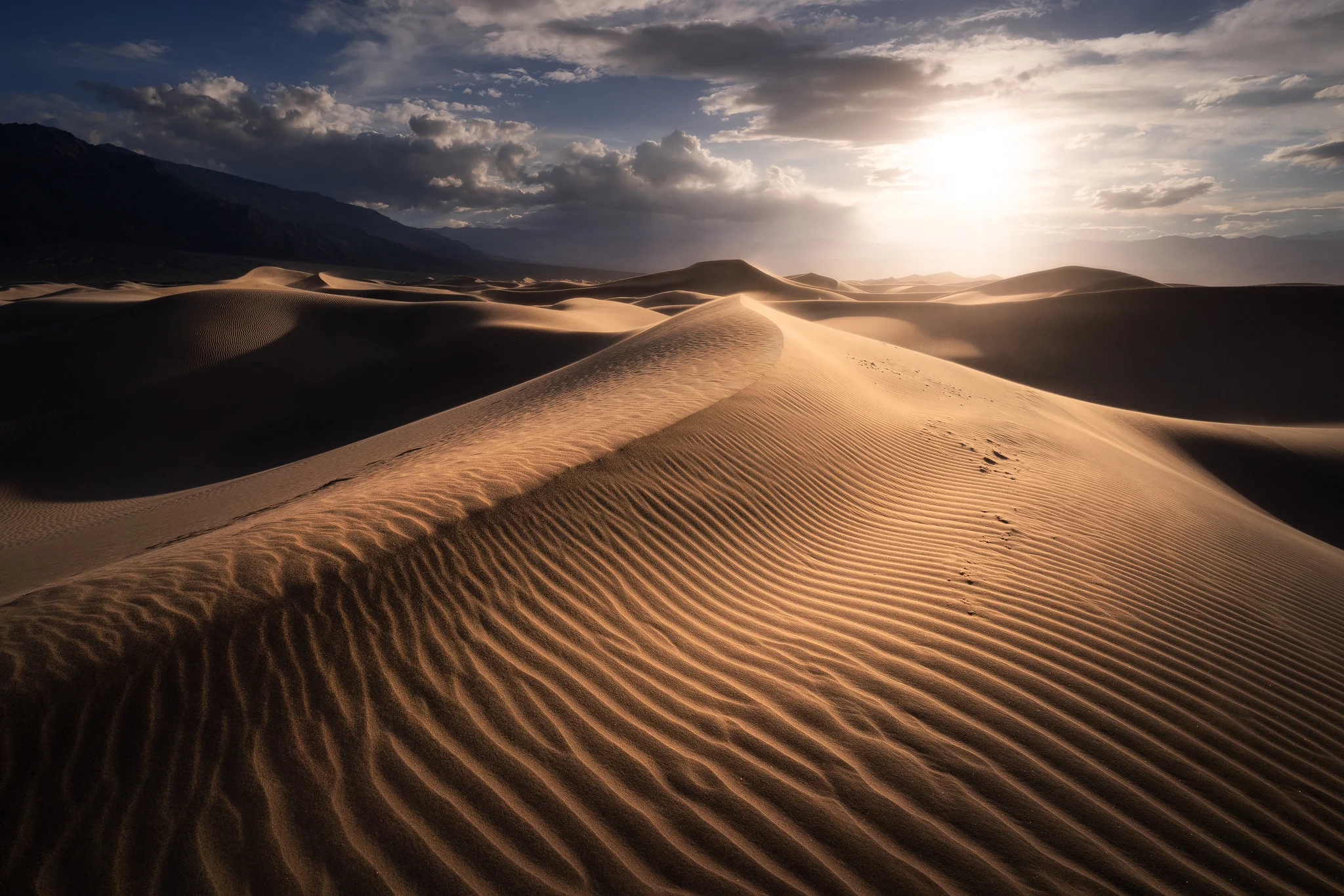 dune-ripple-golden-light.jpg