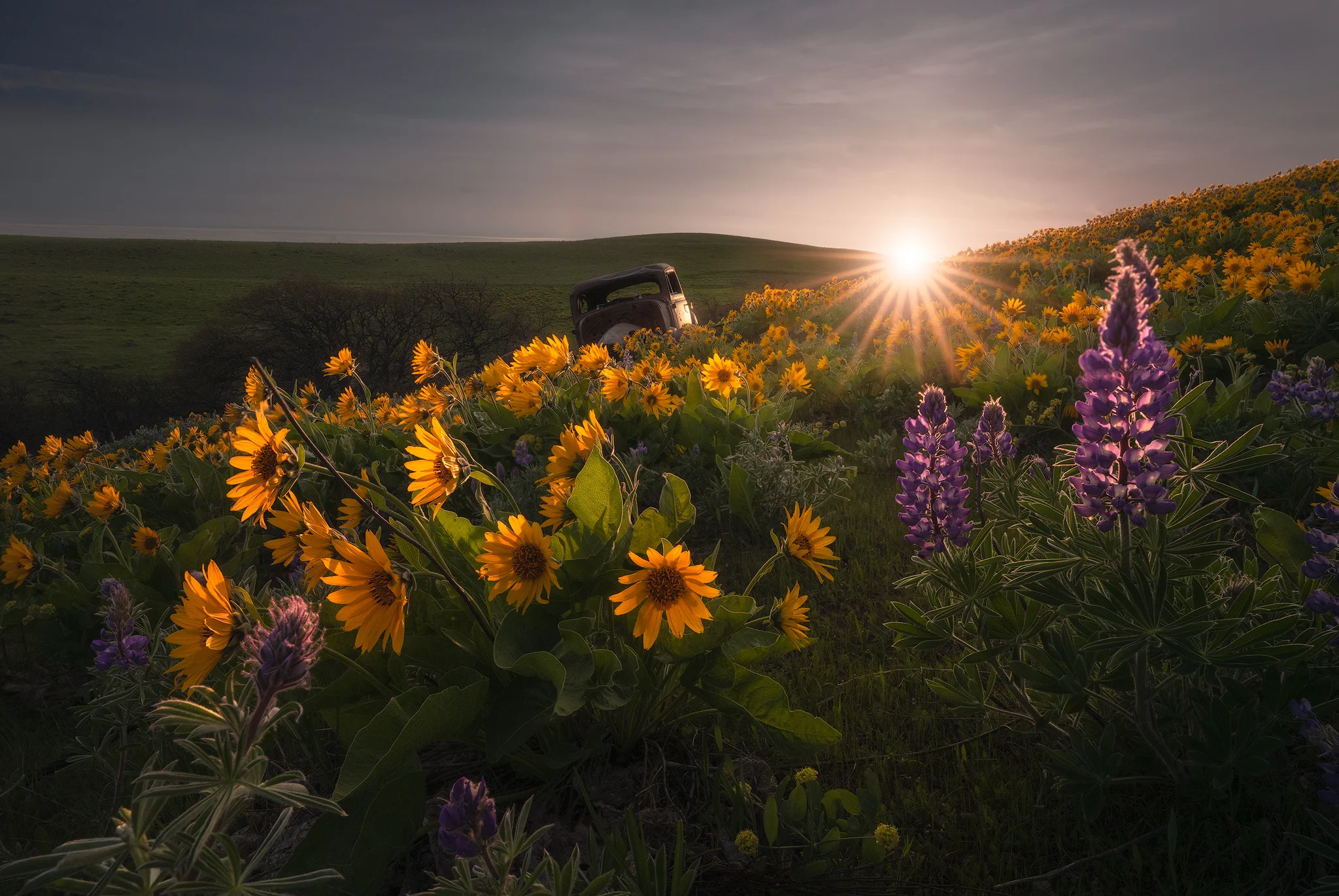 old-car-sunset.jpg