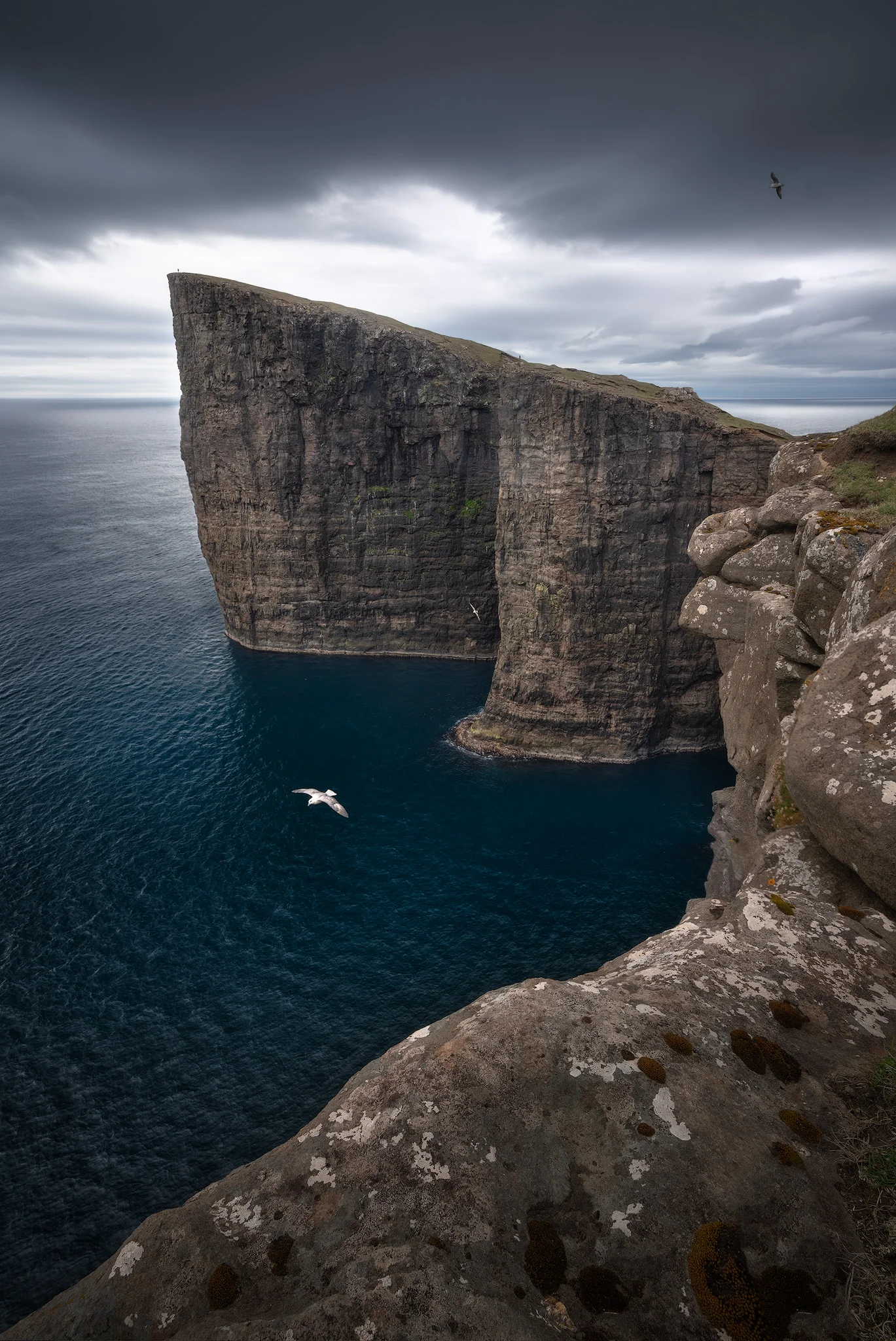 bird-cliffs.jpg