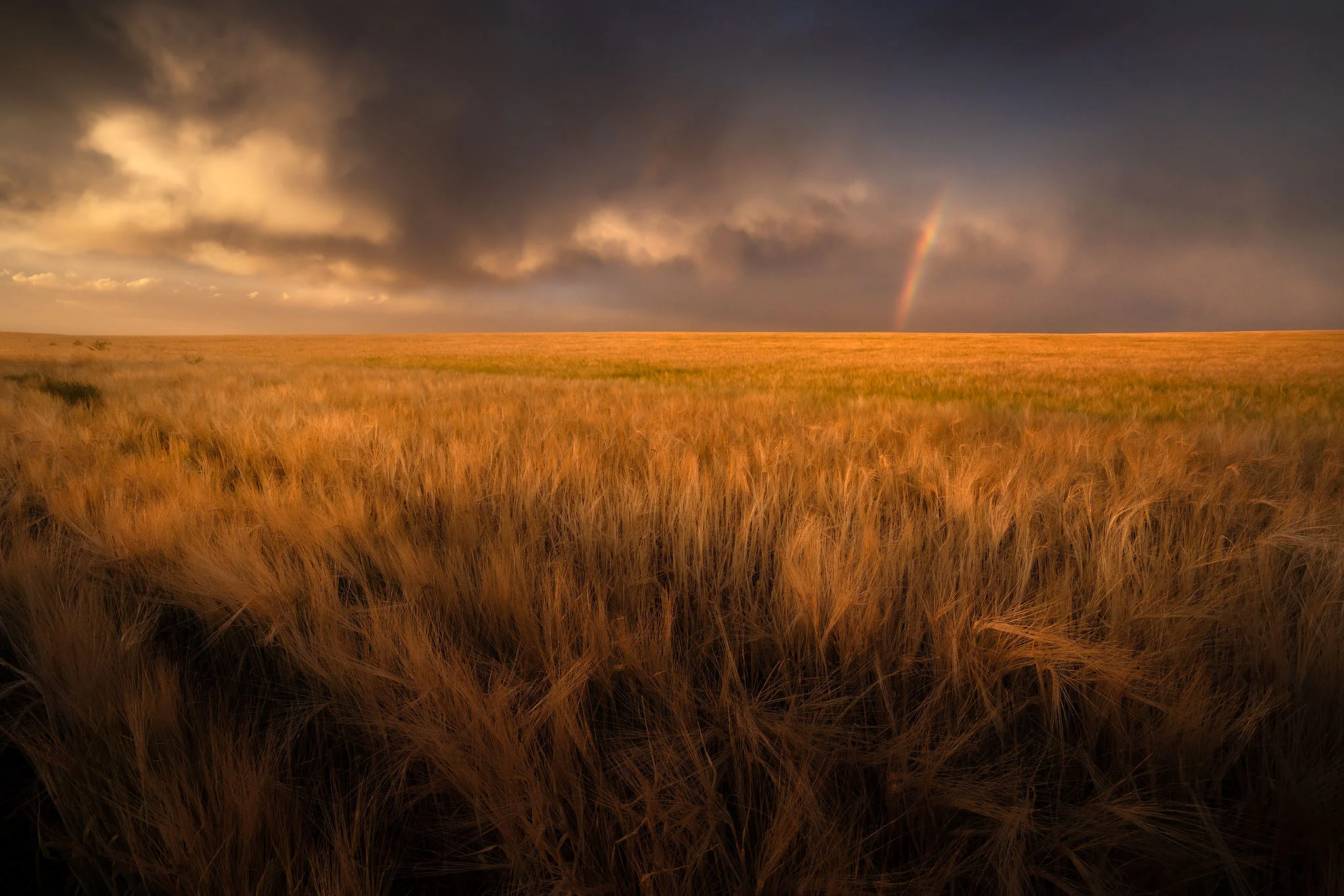 small-rainbow-fields.jpg