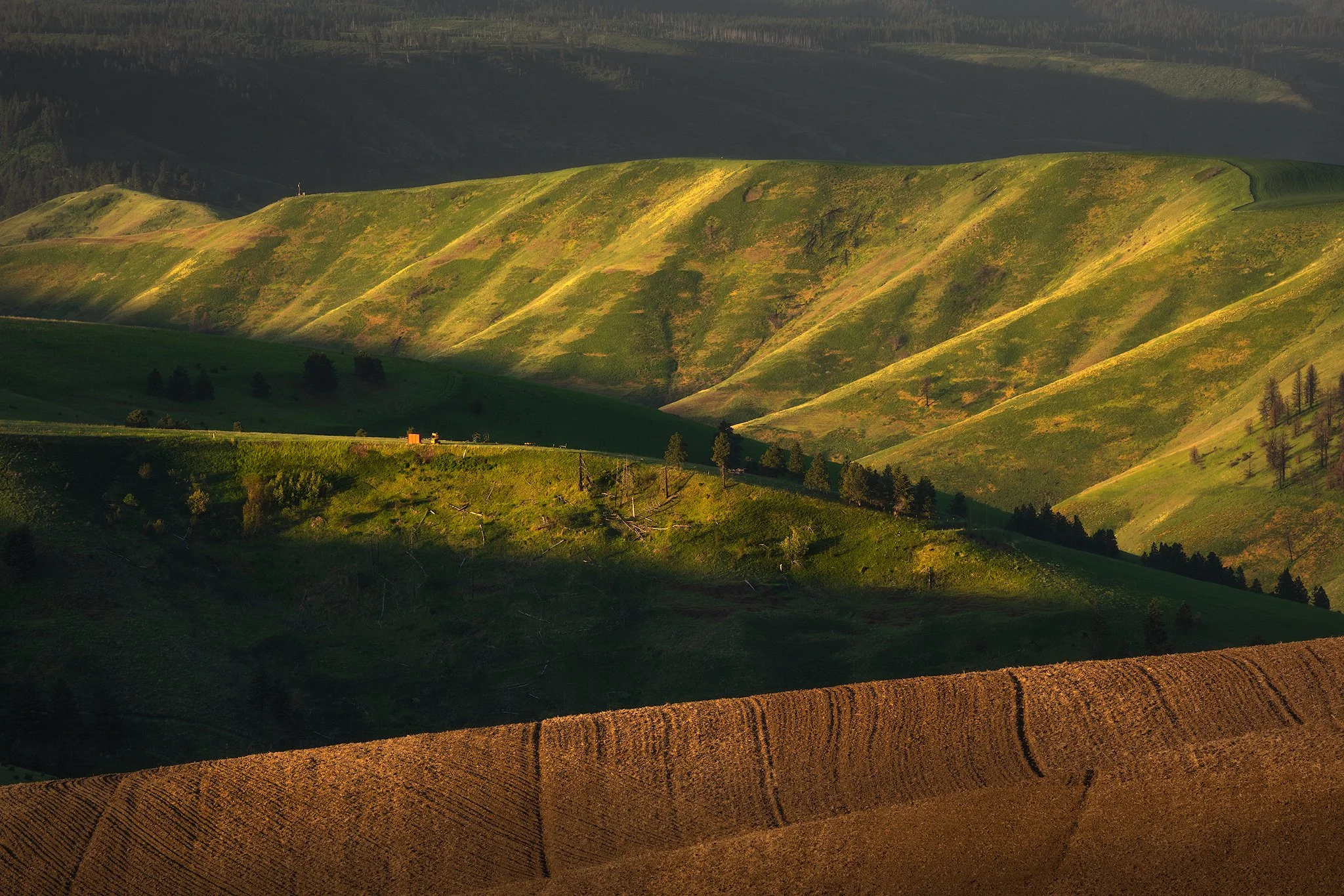 layers-of-the-blue-mountains.jpg