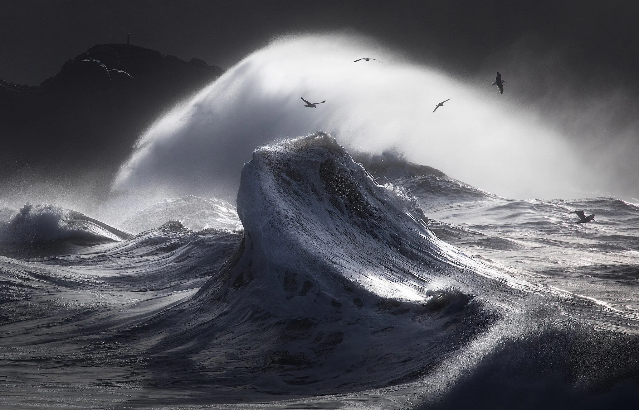 steel-waves-and-gulls.jpg