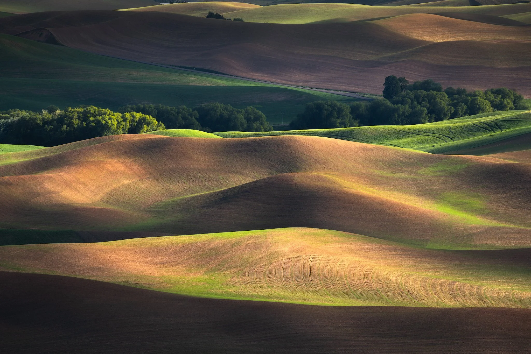 palouse-dappled-light.jpg