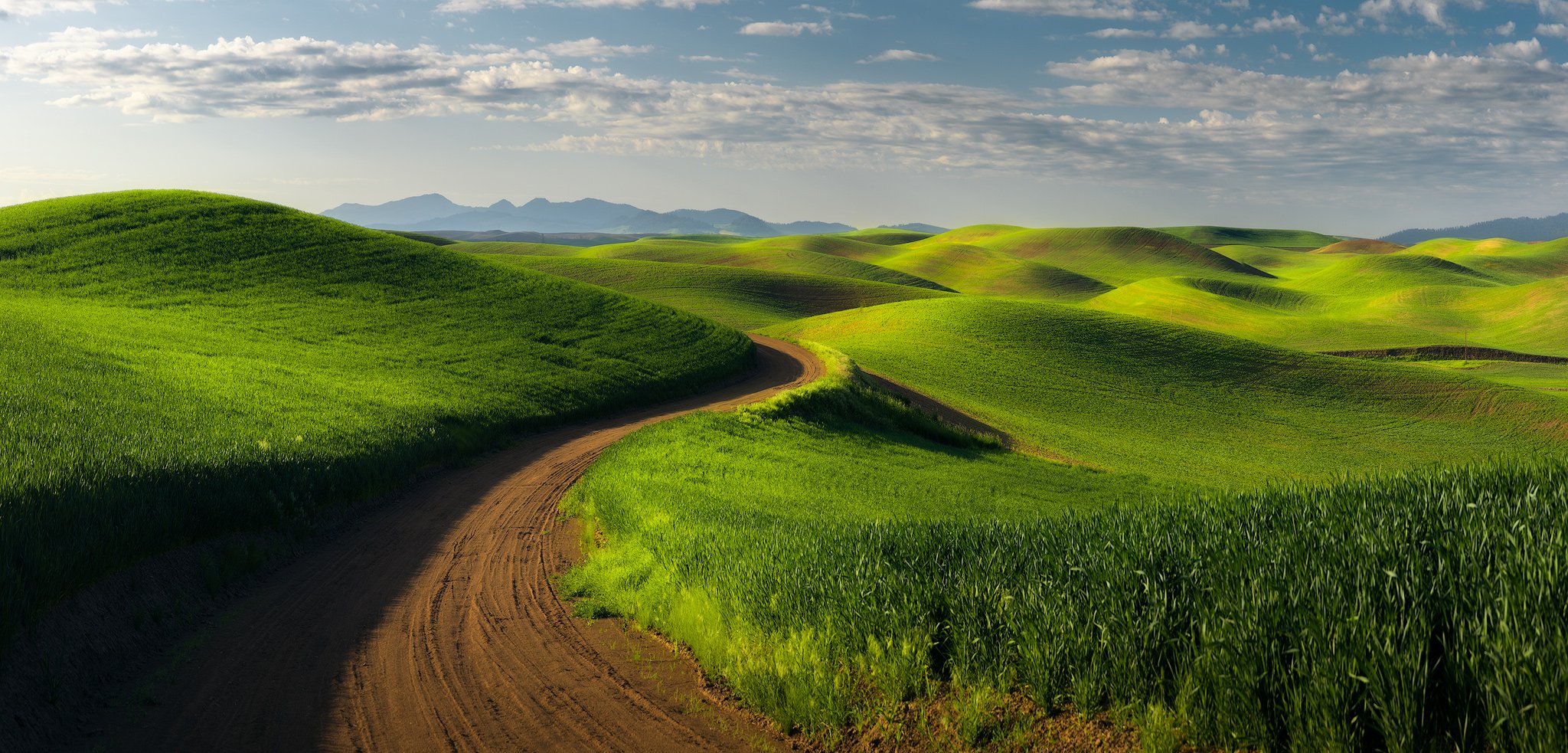 Backroads-of-the-Palouse.jpg