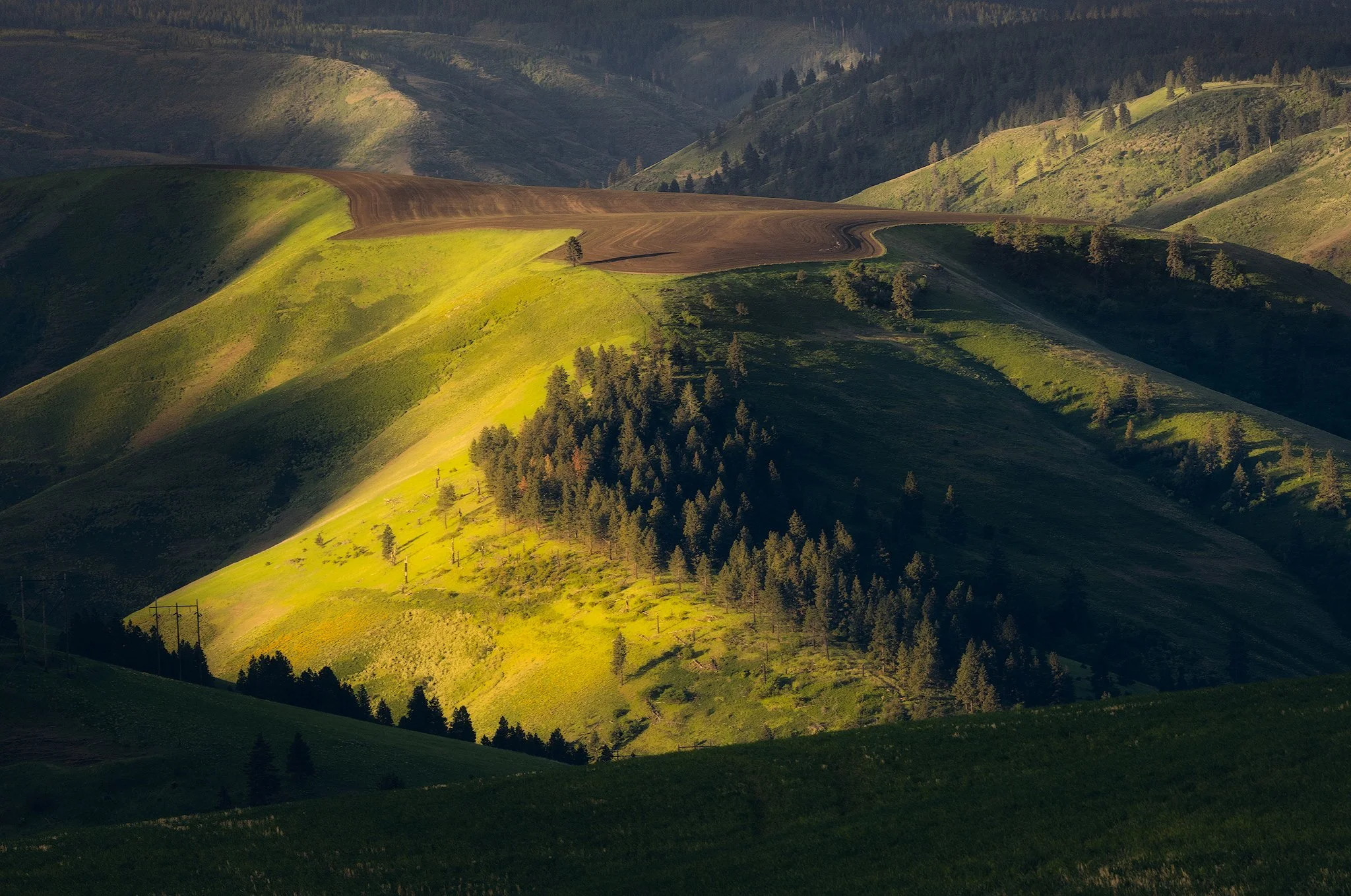 mountain-light.jpg