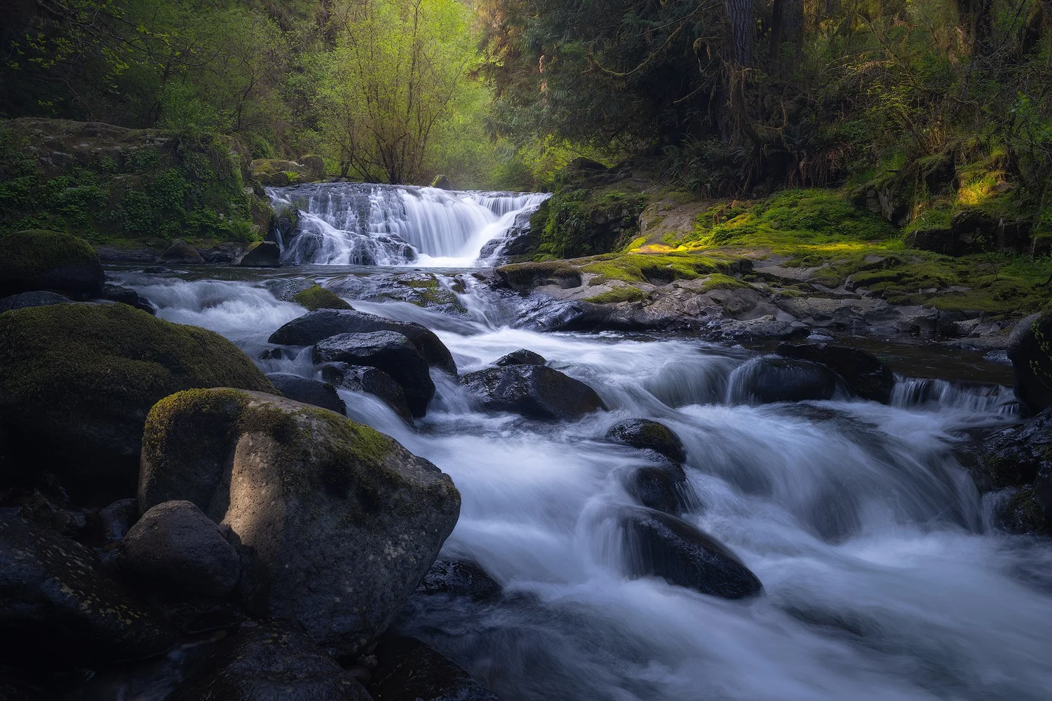 Recent Work — Nick Page Photography