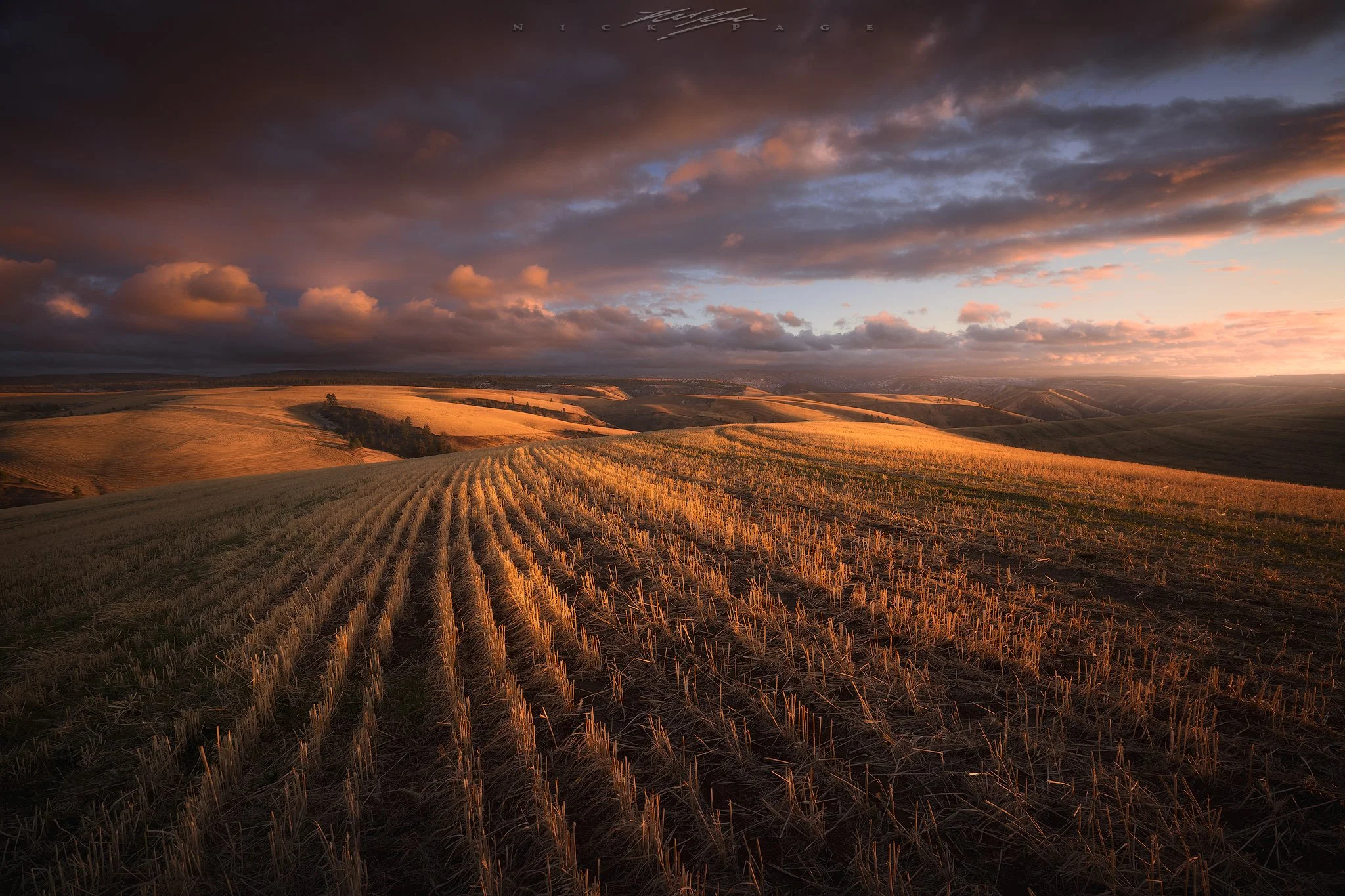 Eastern Washington Scenes