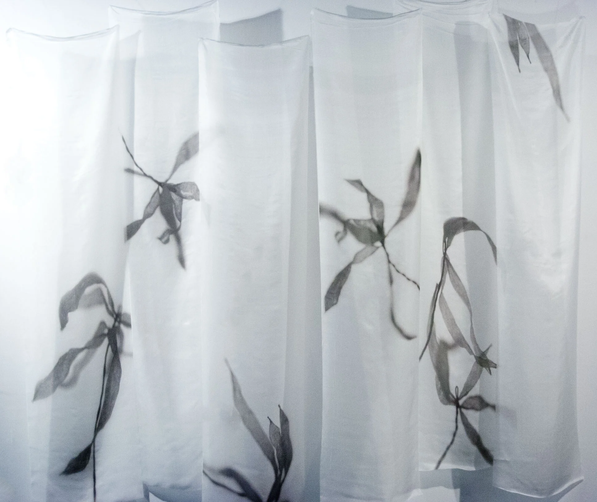untitled paper plants