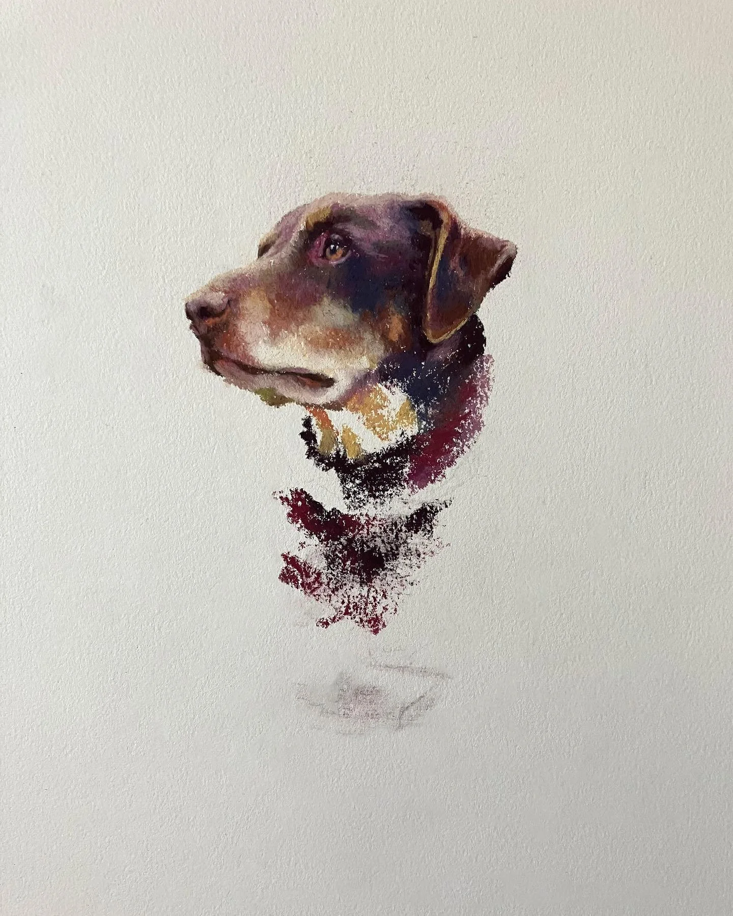 Woodrow 💜 10x12&rdquo;, chalk pastel on Rives BFK. Love the way this paper soaks up chalk! Makes it feel like watercolor