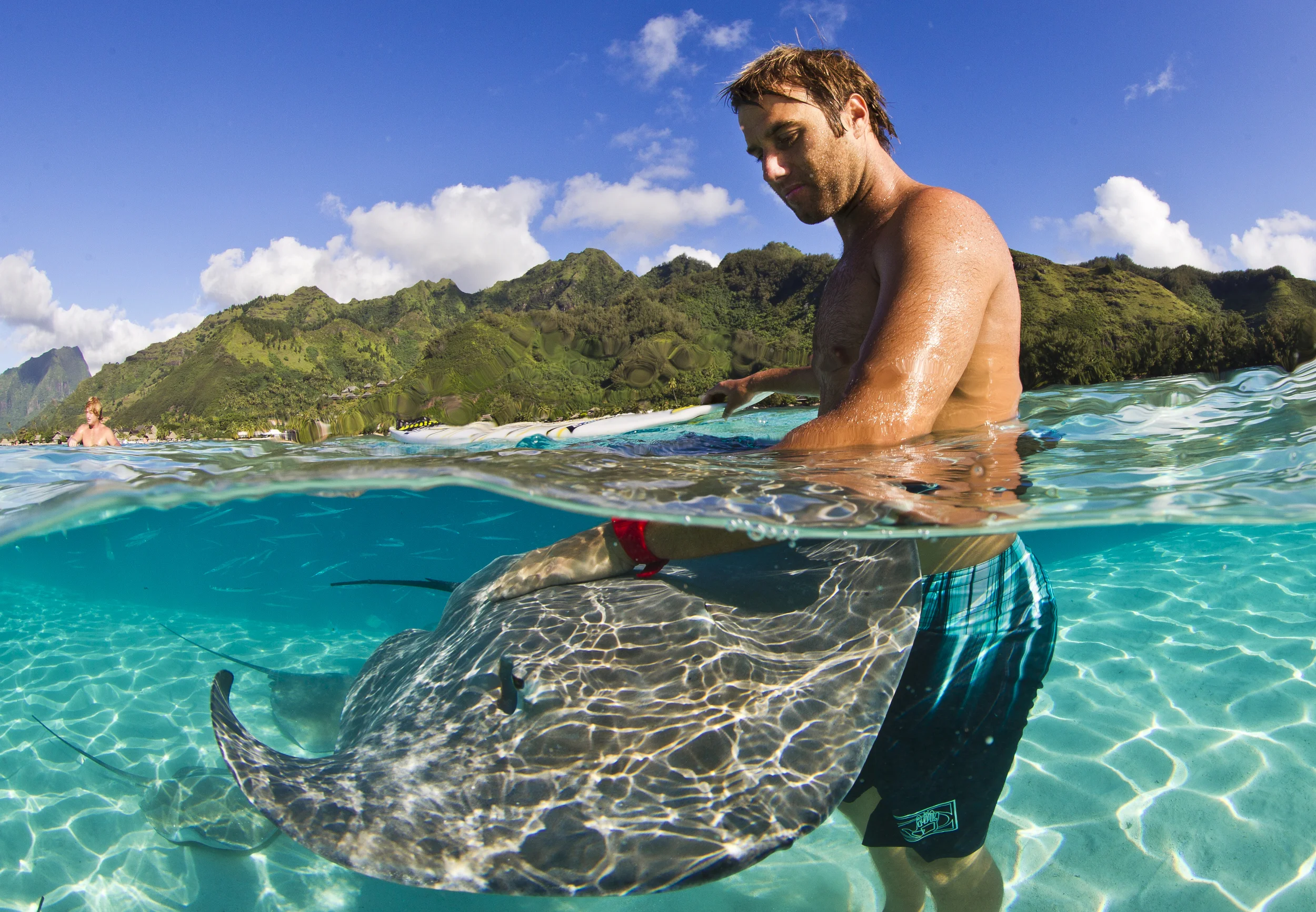 Stingray whisperer.JPG