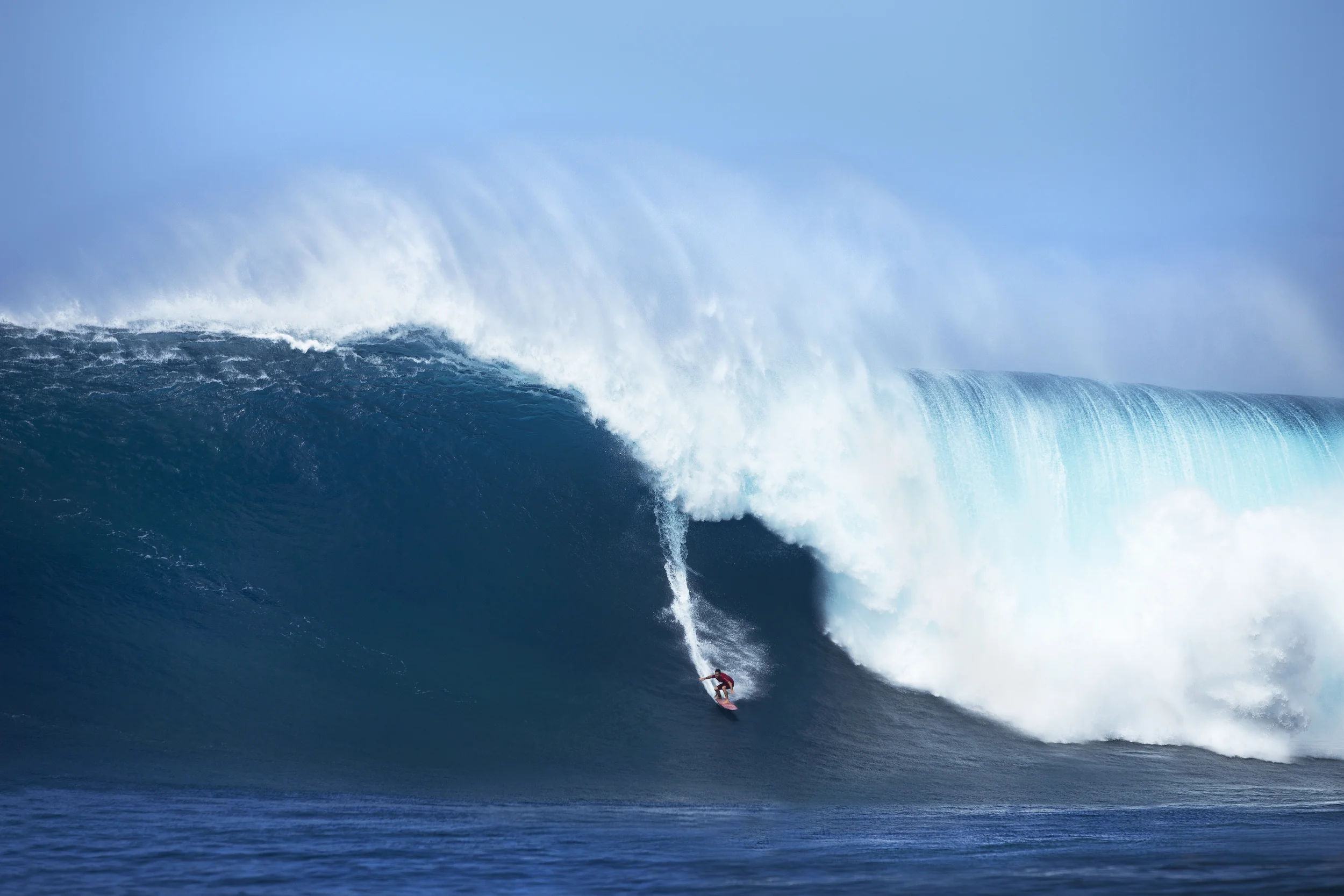 Aaron Gold X Jaws .JPG