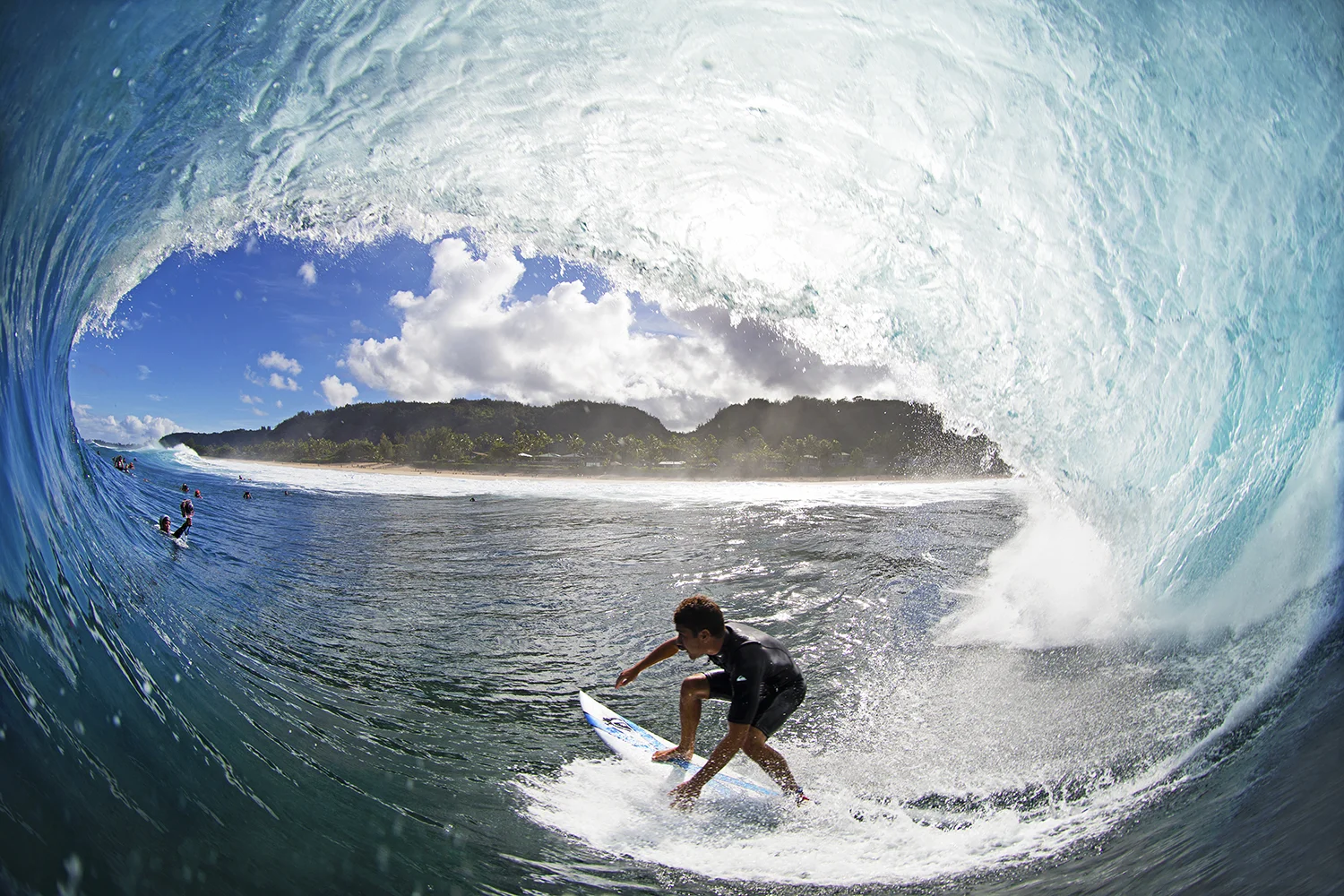 room with a view.JPG