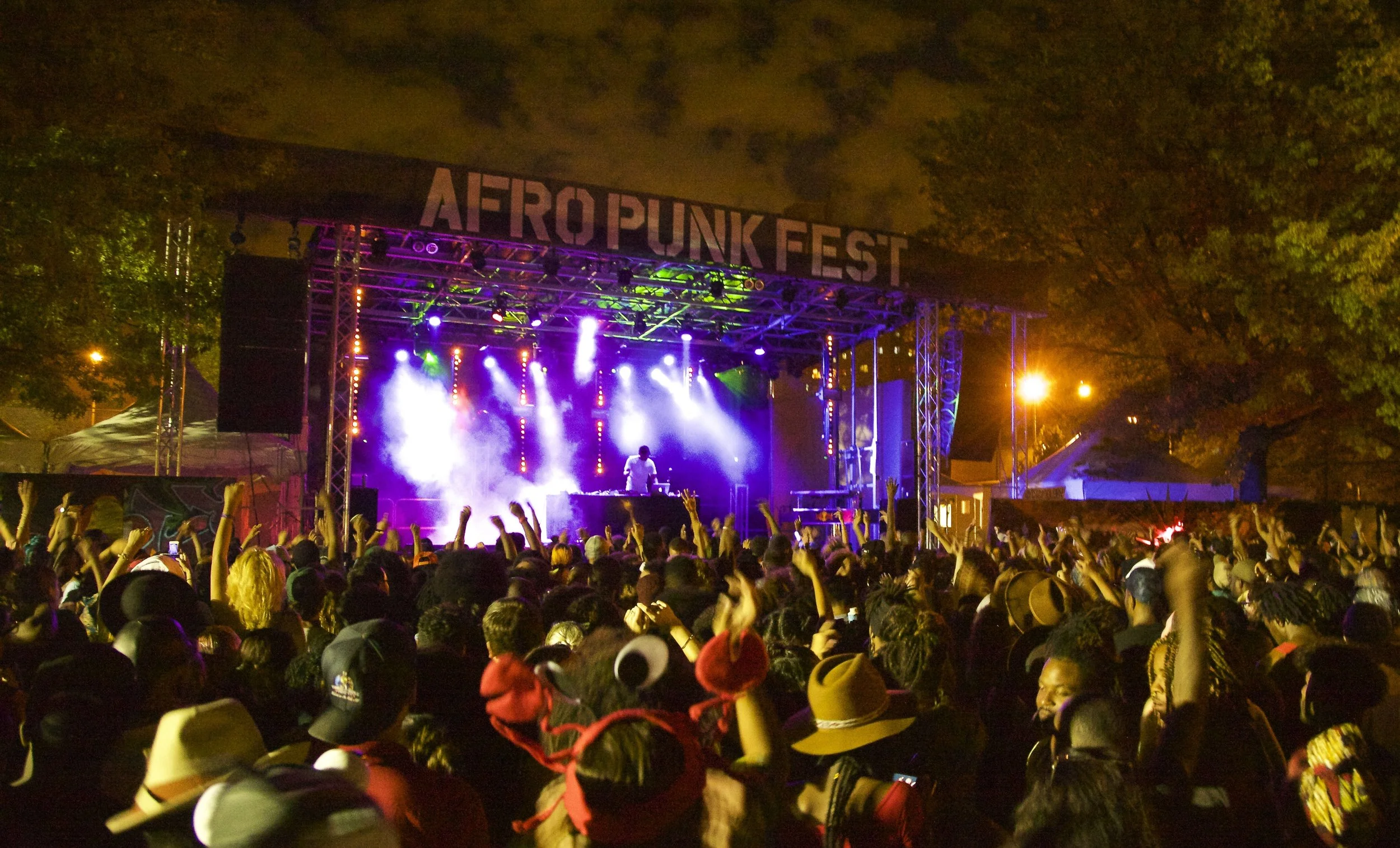 Afro Punk Festival circa. 2015