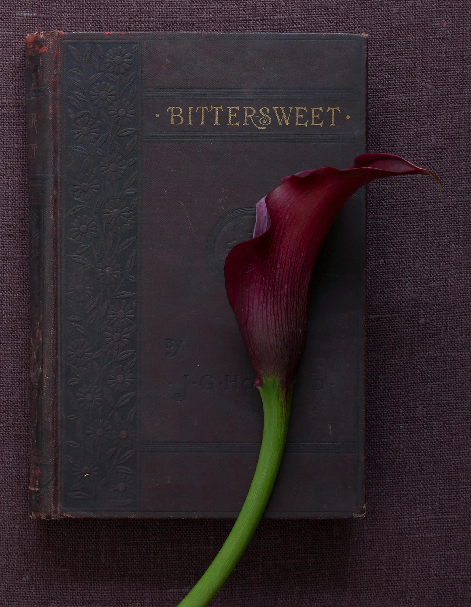 PurpleLilies&Book_019-R-WEB.jpg