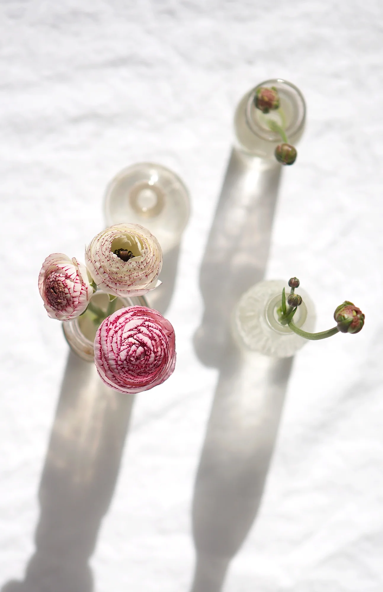 Bottles&Flowers_014-R-WEB.jpg