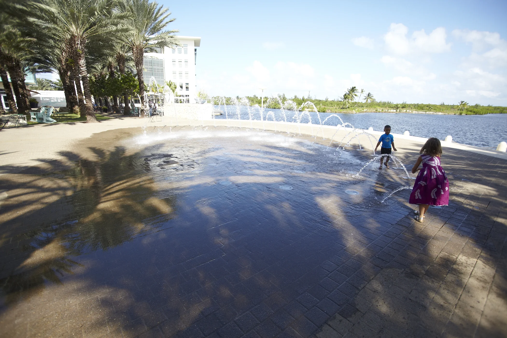 _MG_7484.jpg